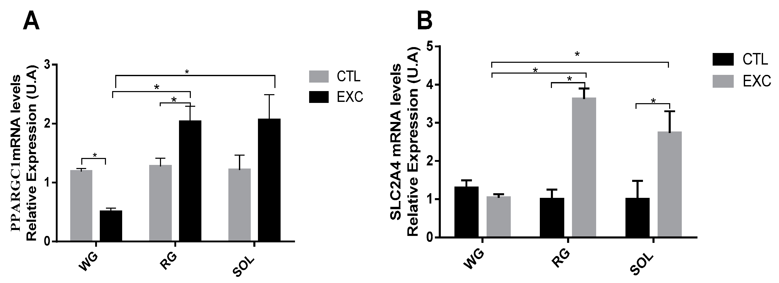 Antioxidants 09 00057 g009