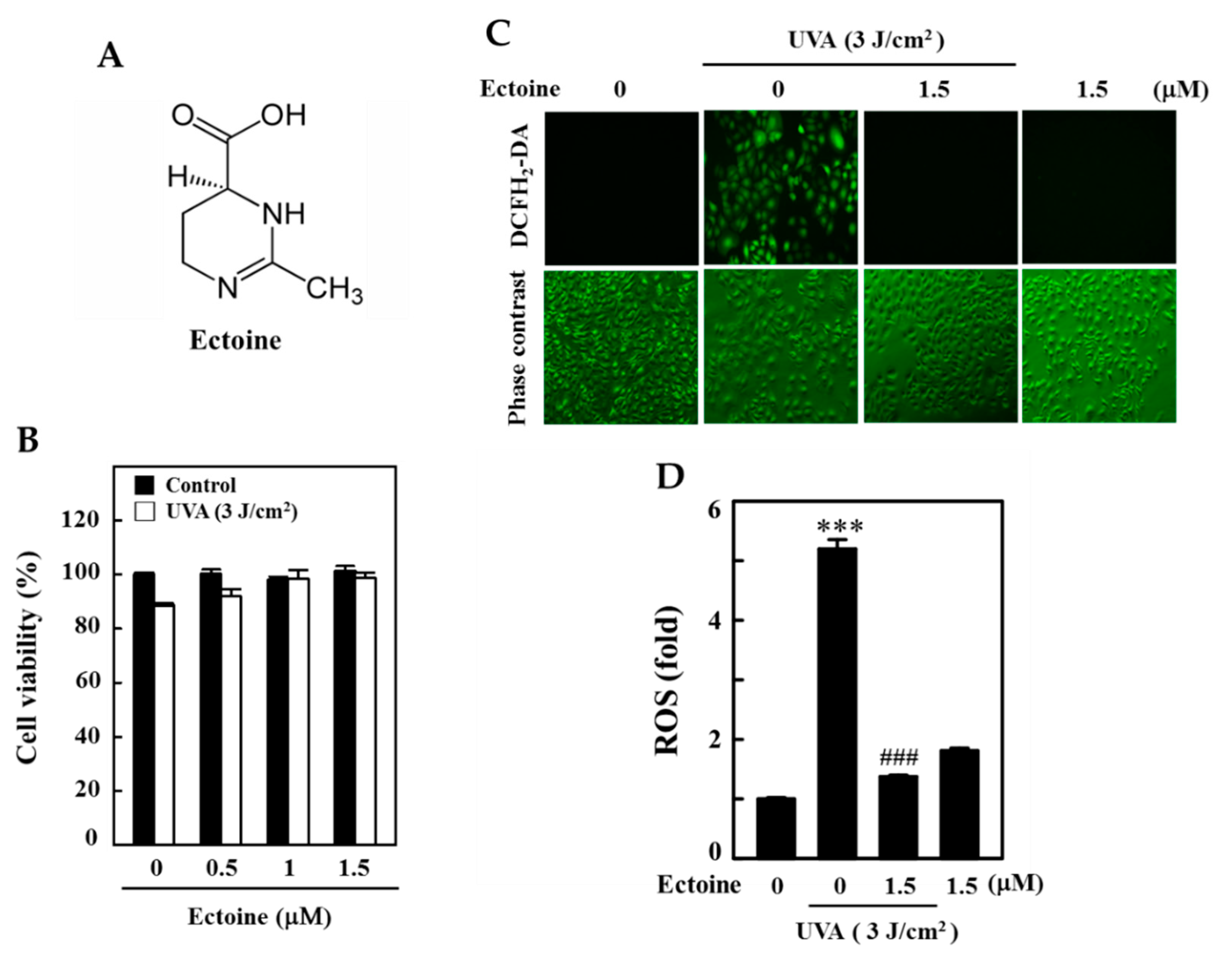 Antioxidants 09 00063 g001