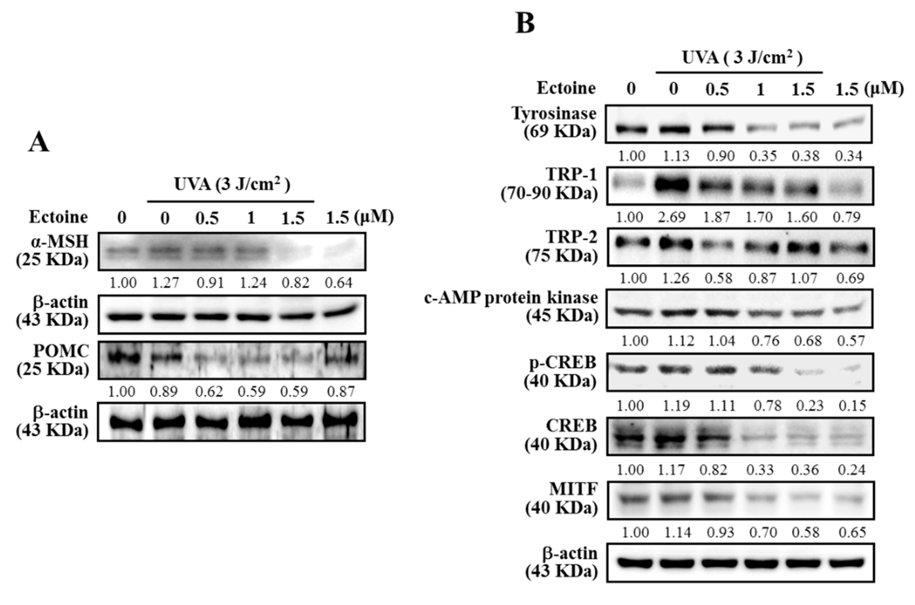 Antioxidants 09 00063 g002