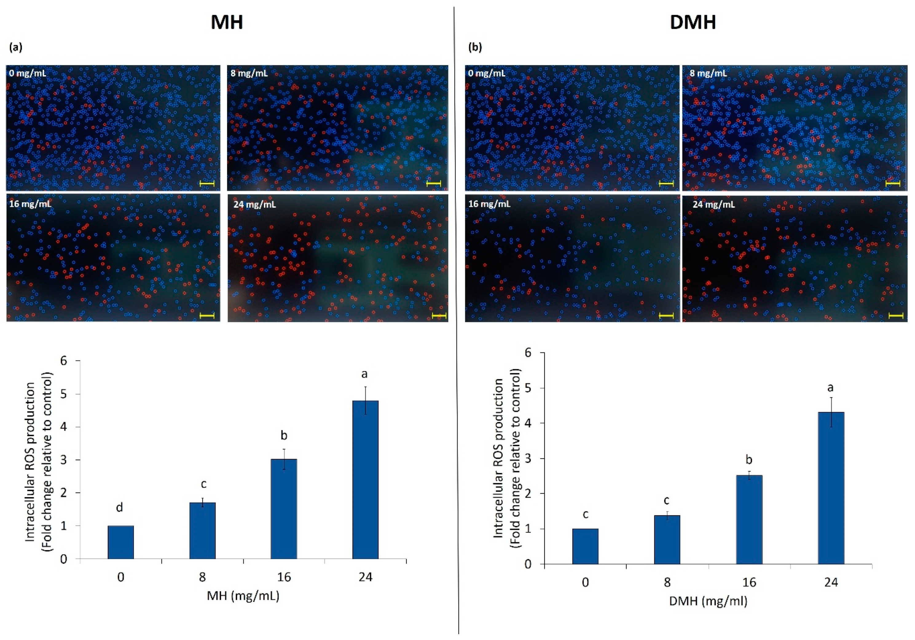 Antioxidants 09 00064 g004