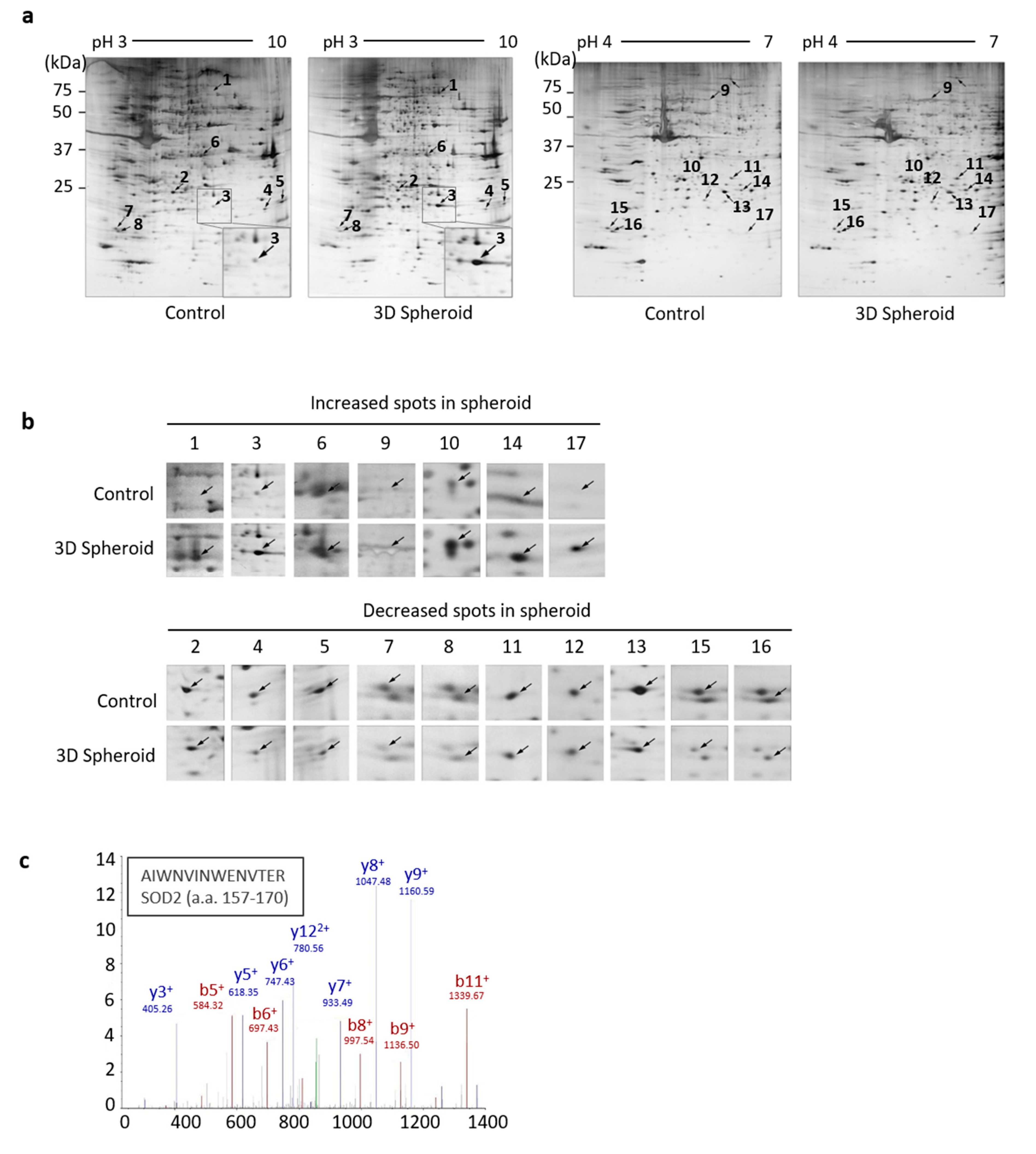 Antioxidants 09 00066 g001