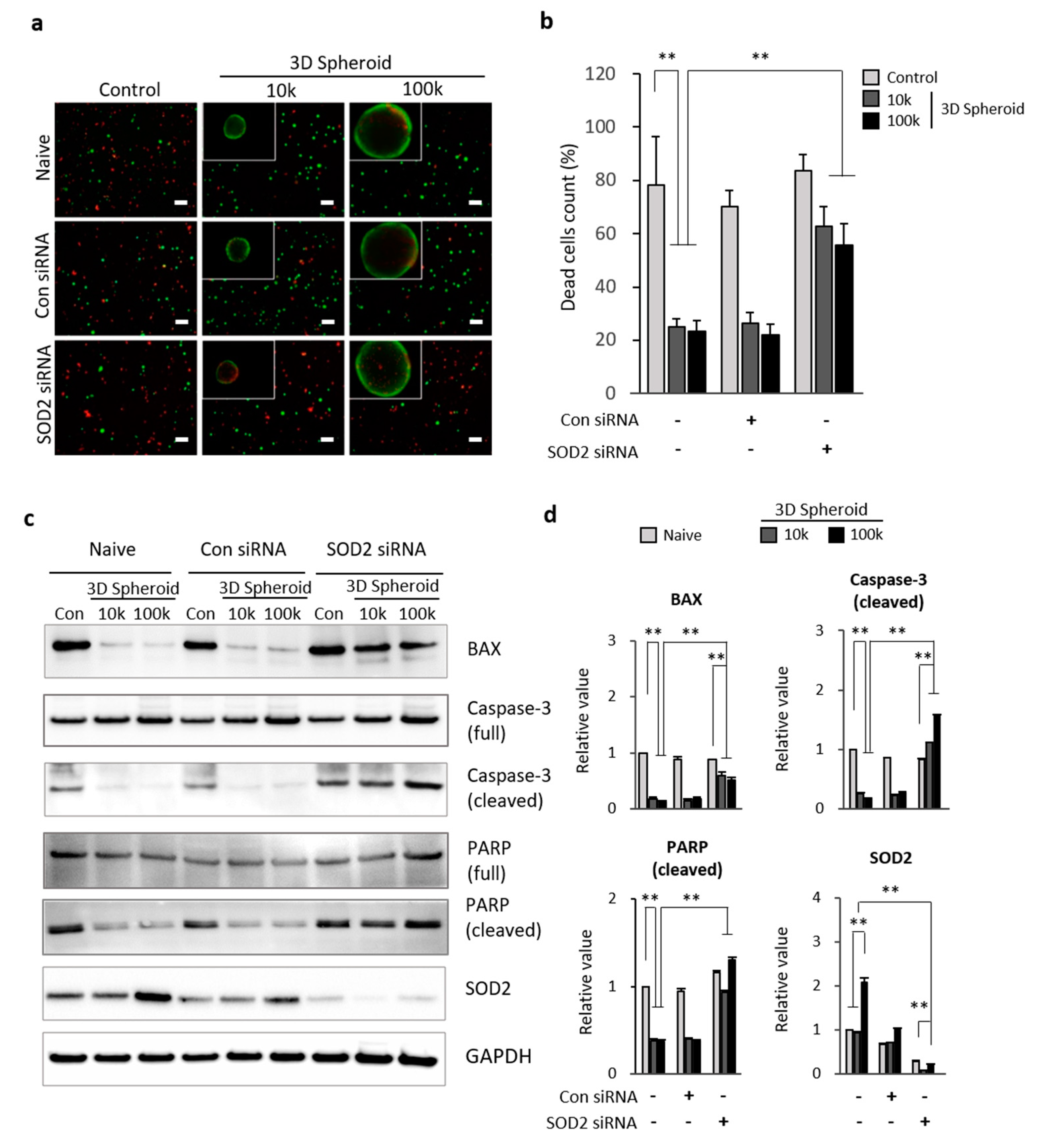 Antioxidants 09 00066 g003