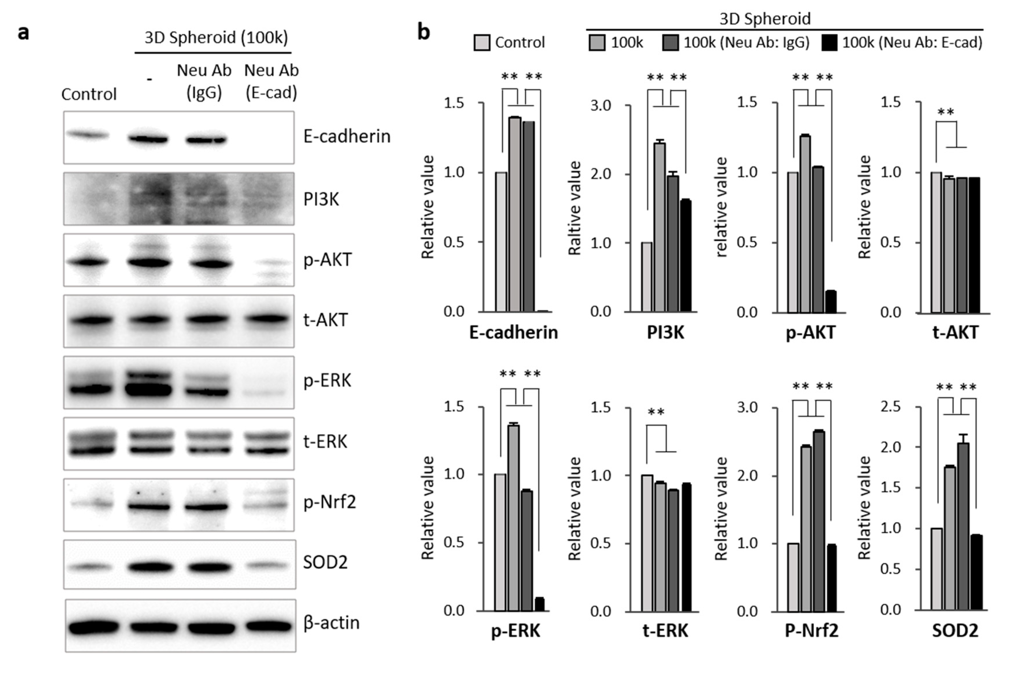 Antioxidants 09 00066 g004
