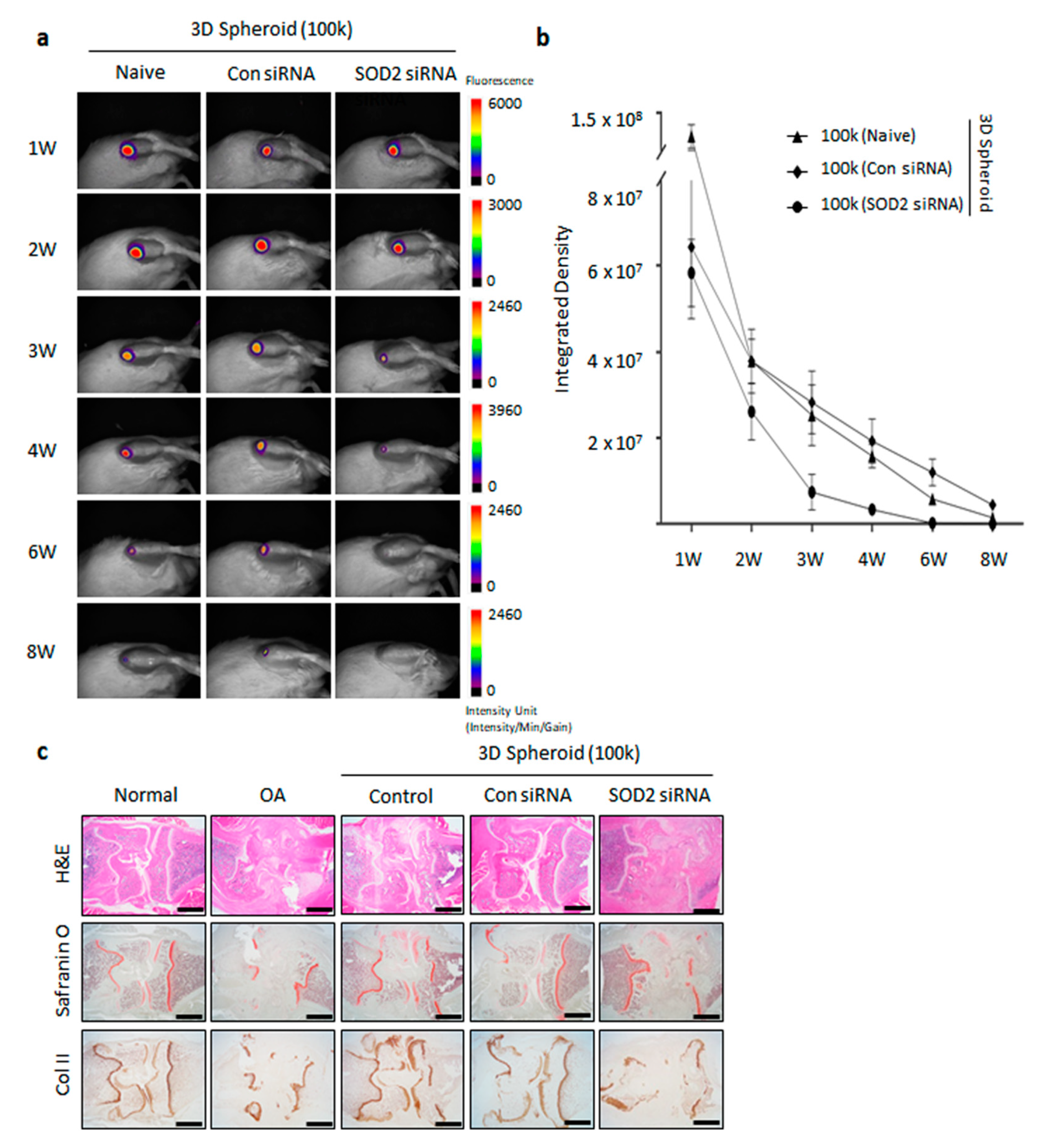 Antioxidants 09 00066 g005