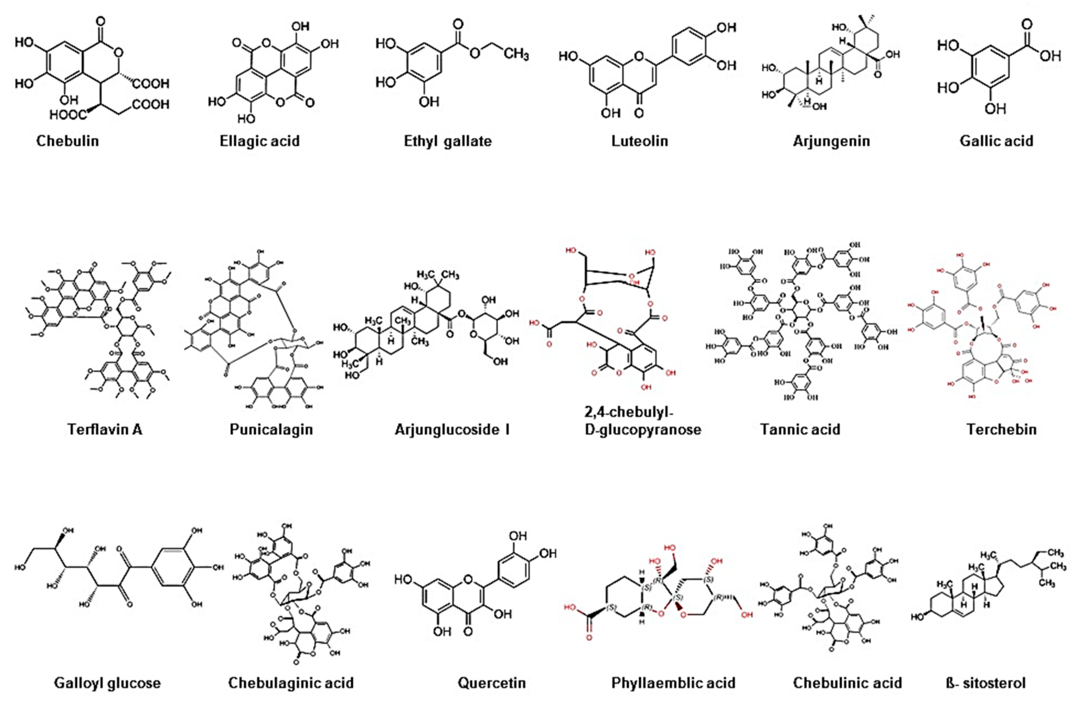 Antioxidants 09 00072 g002
