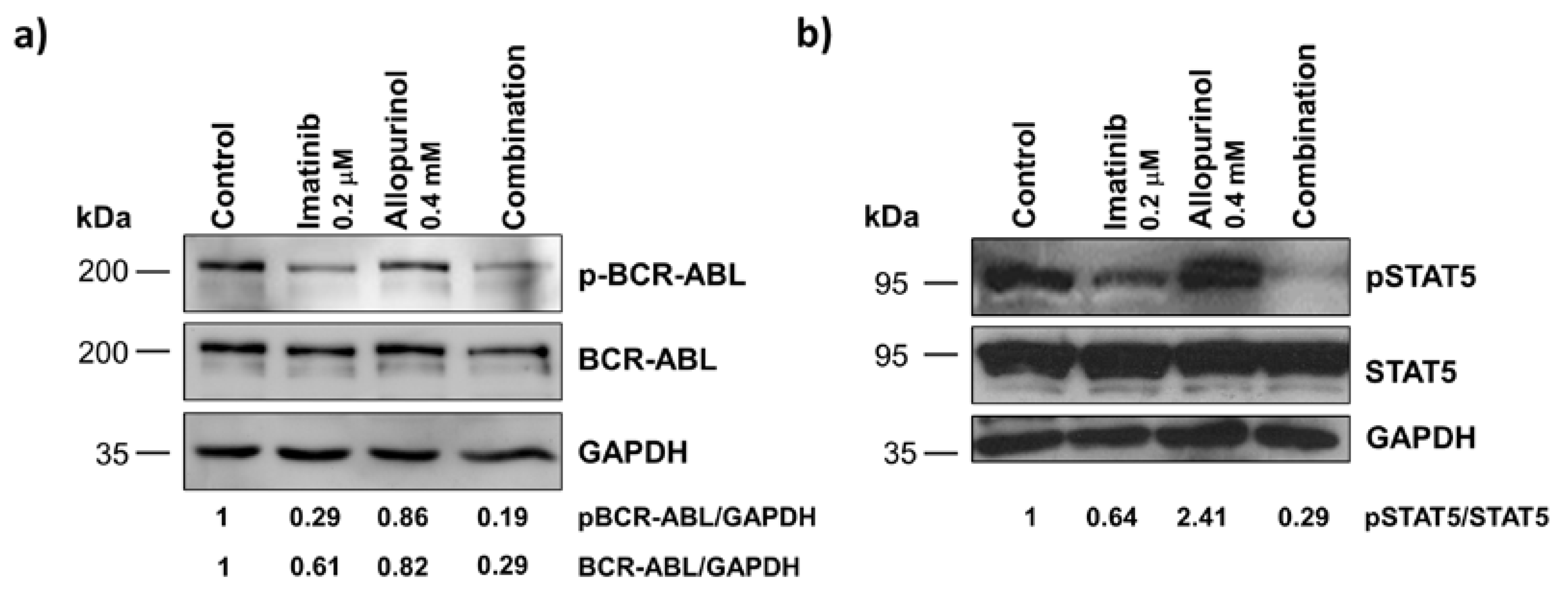 Antioxidants 09 00074 g008