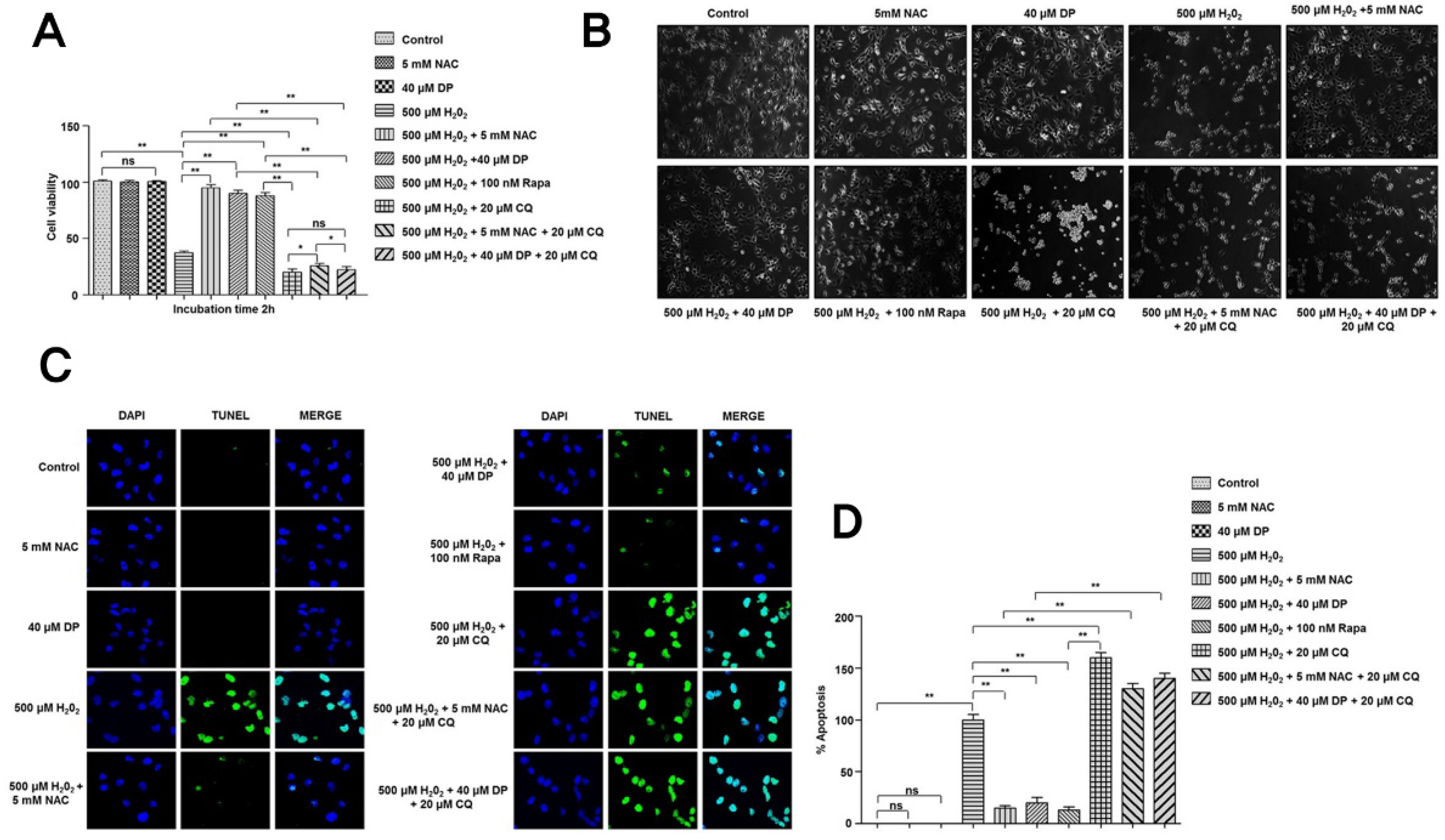 Antioxidants 09 00083 g004