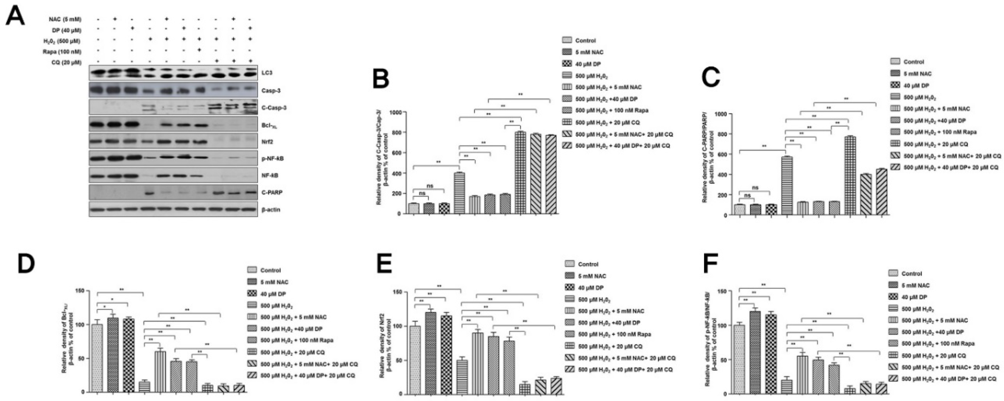 Antioxidants 09 00083 g005