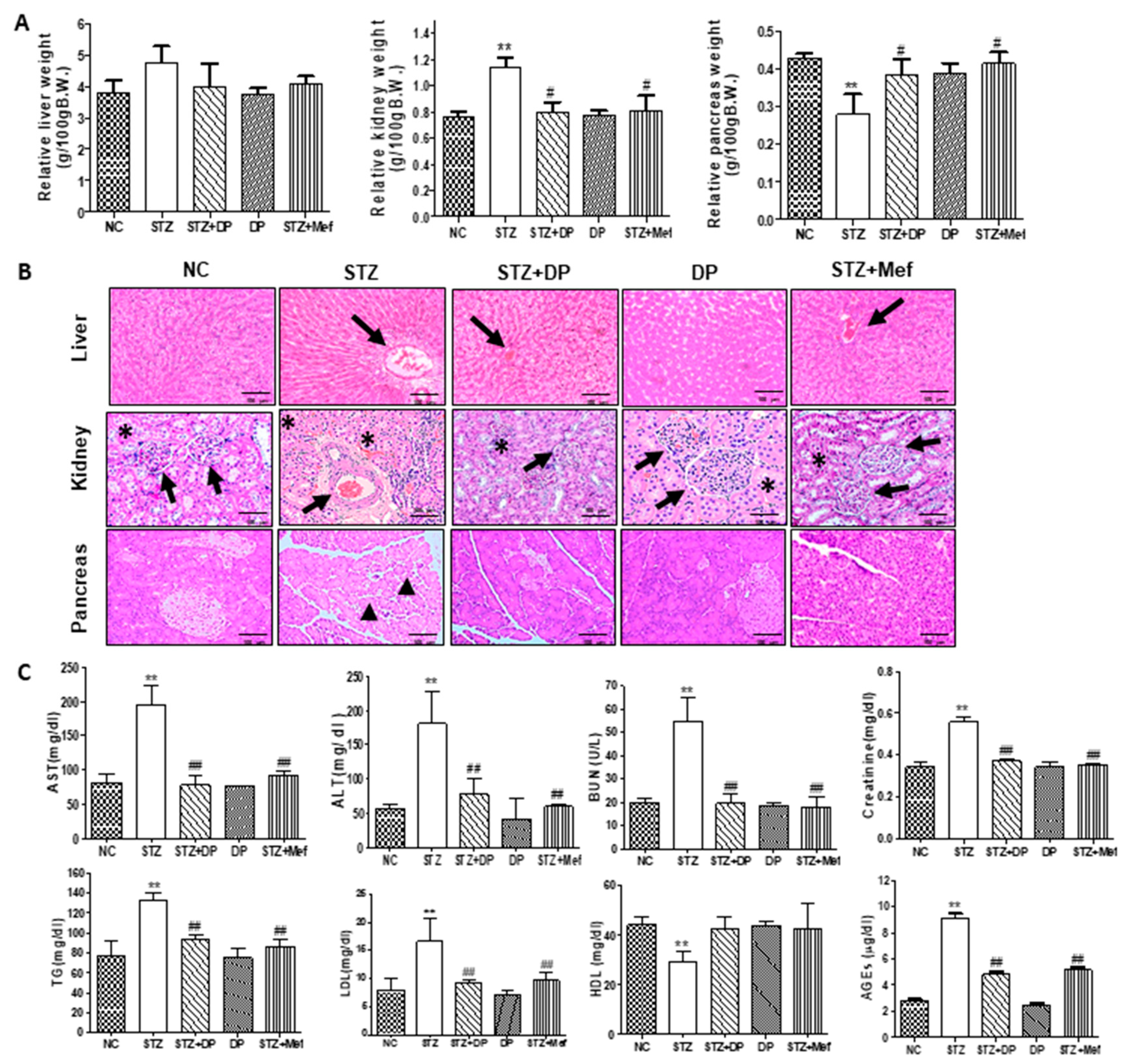 Antioxidants 09 00084 g003