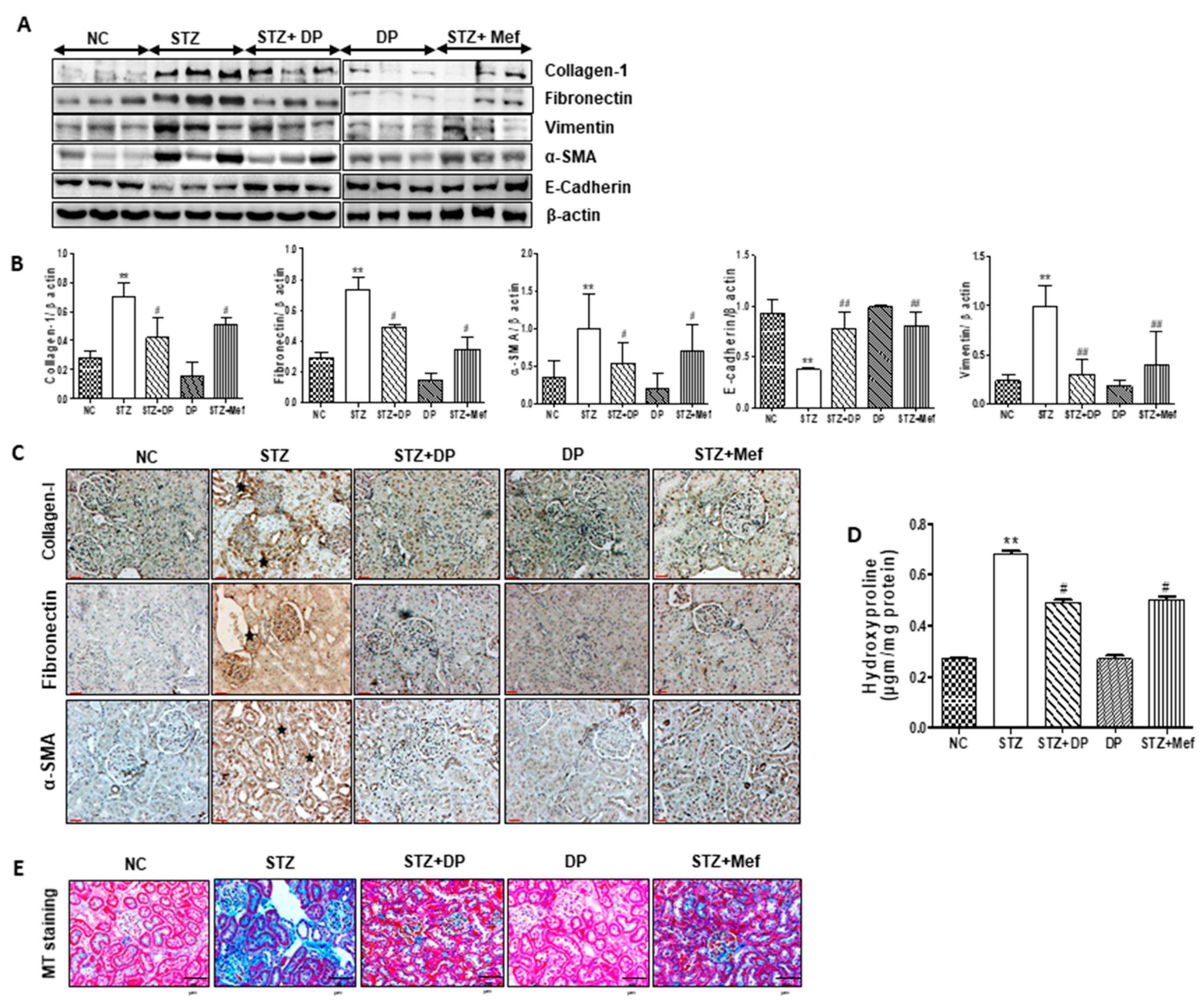 Antioxidants 09 00084 g008