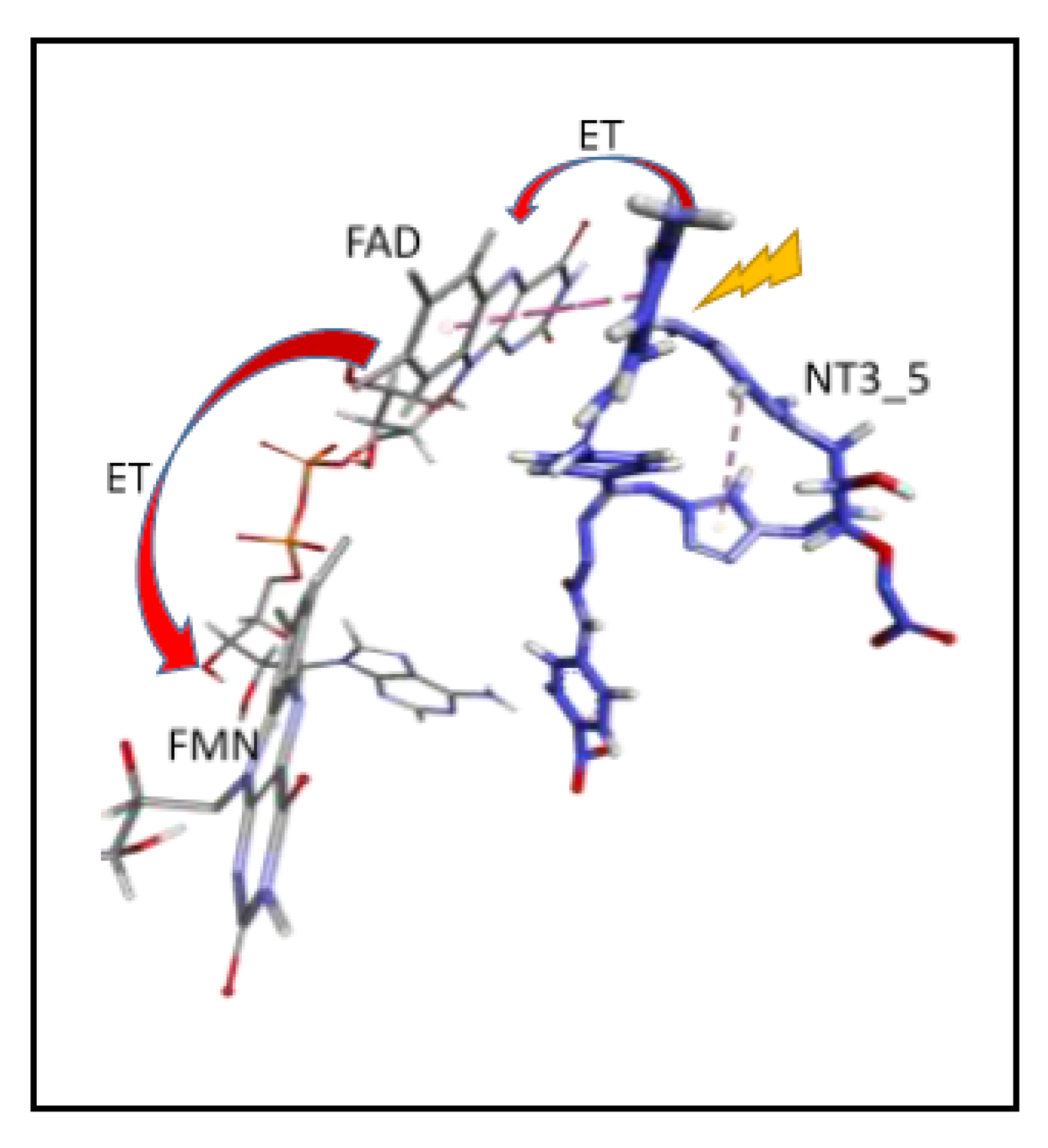 Antioxidants 09 00089 sch001