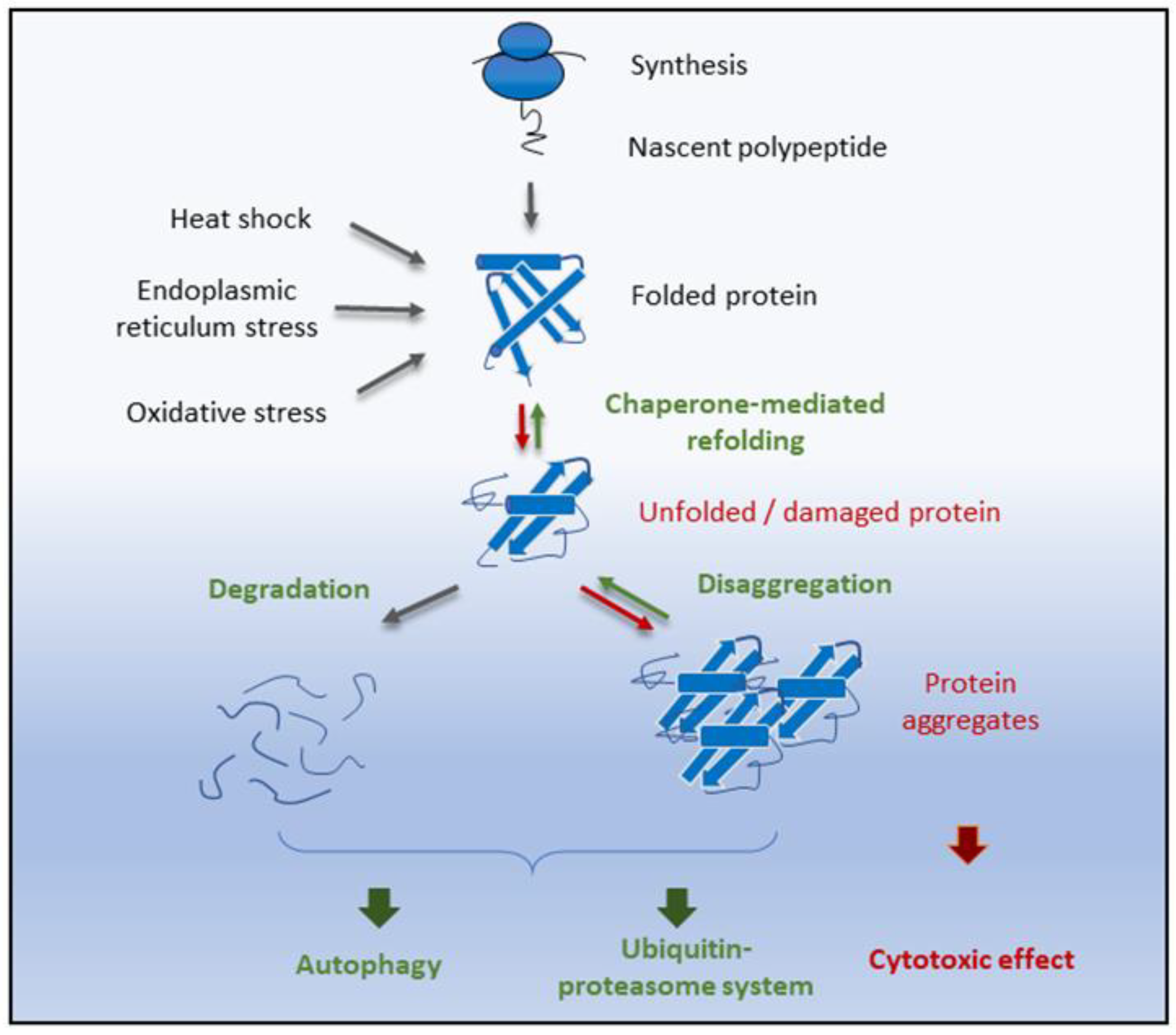 Antioxidants 09 00094 g001