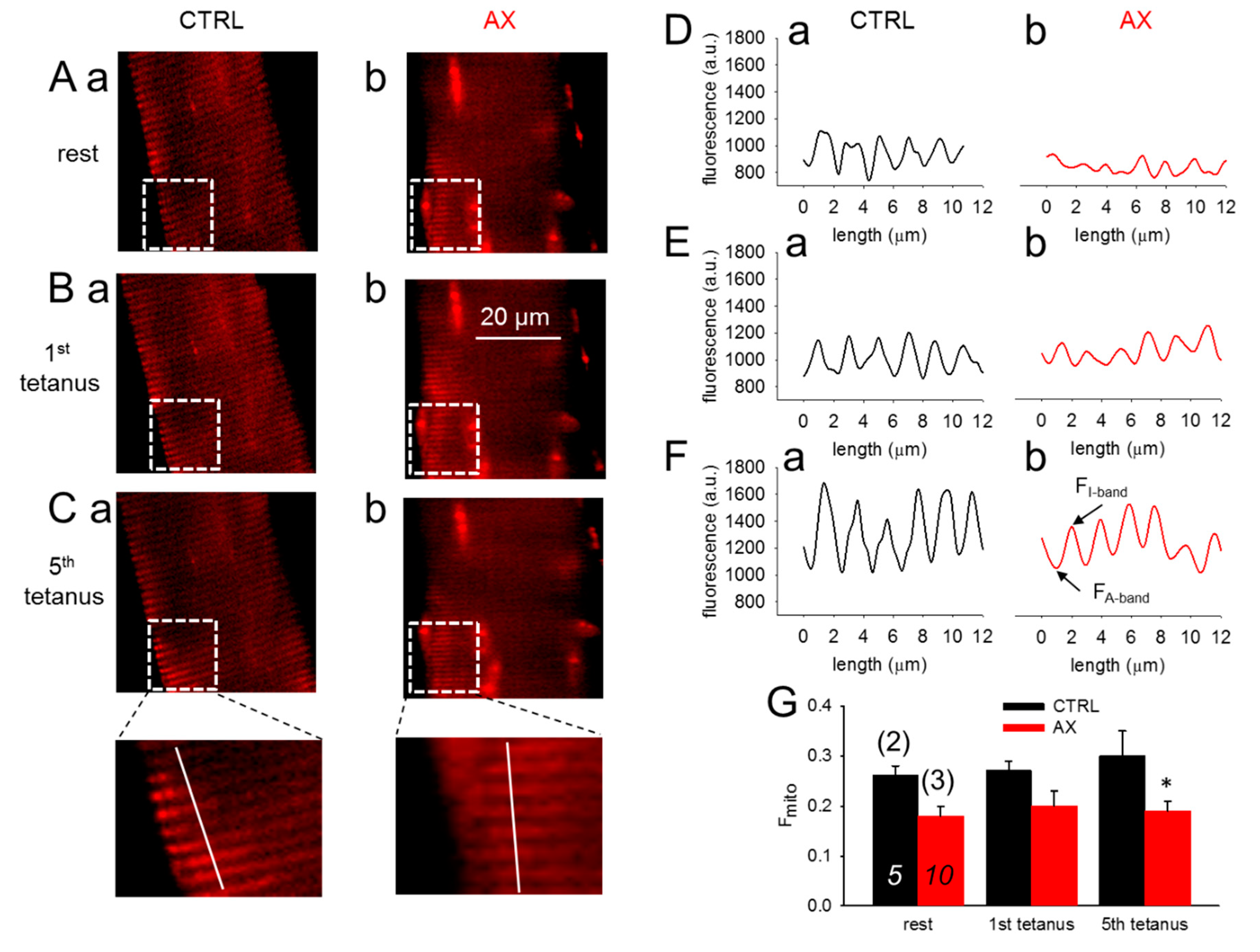 Antioxidants 09 00098 g004