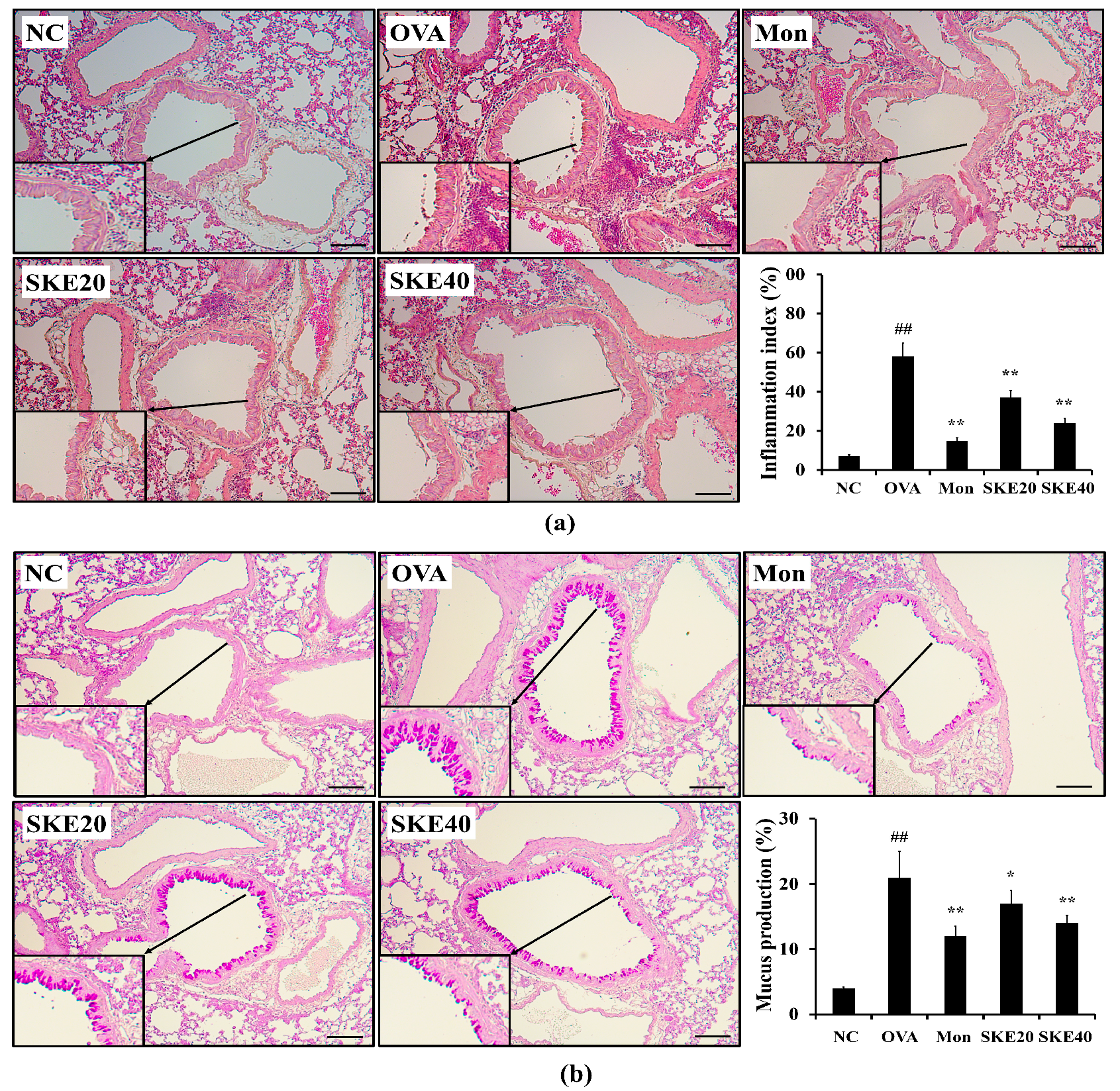 Antioxidants 09 00099 g005