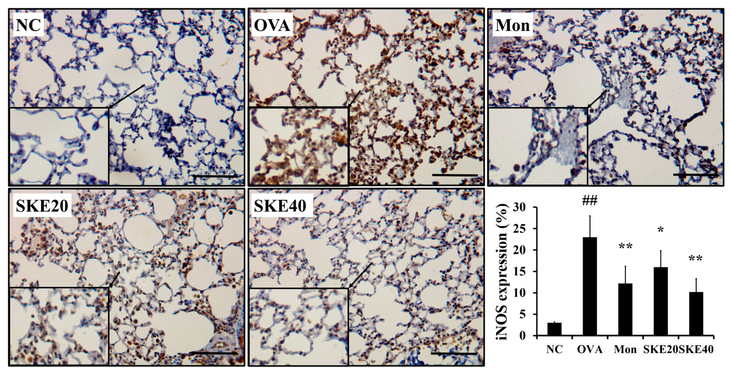 Antioxidants 09 00099 g007