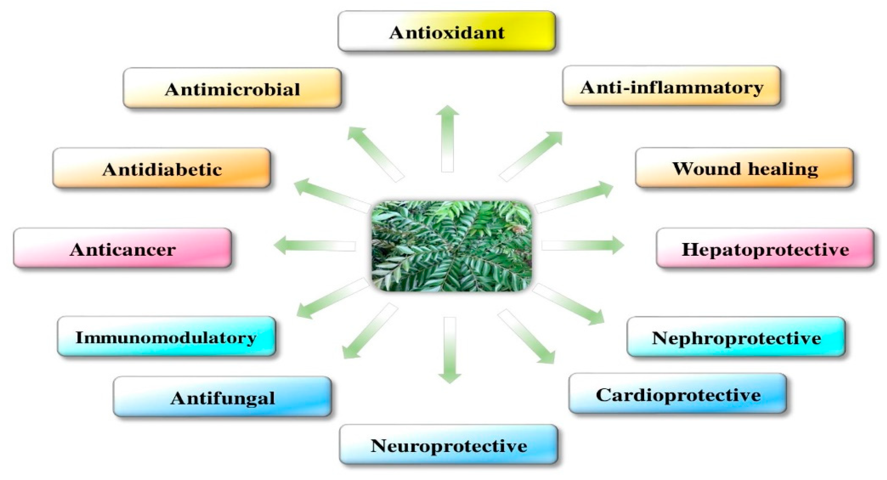 Antioxidants 09 00101 g001
