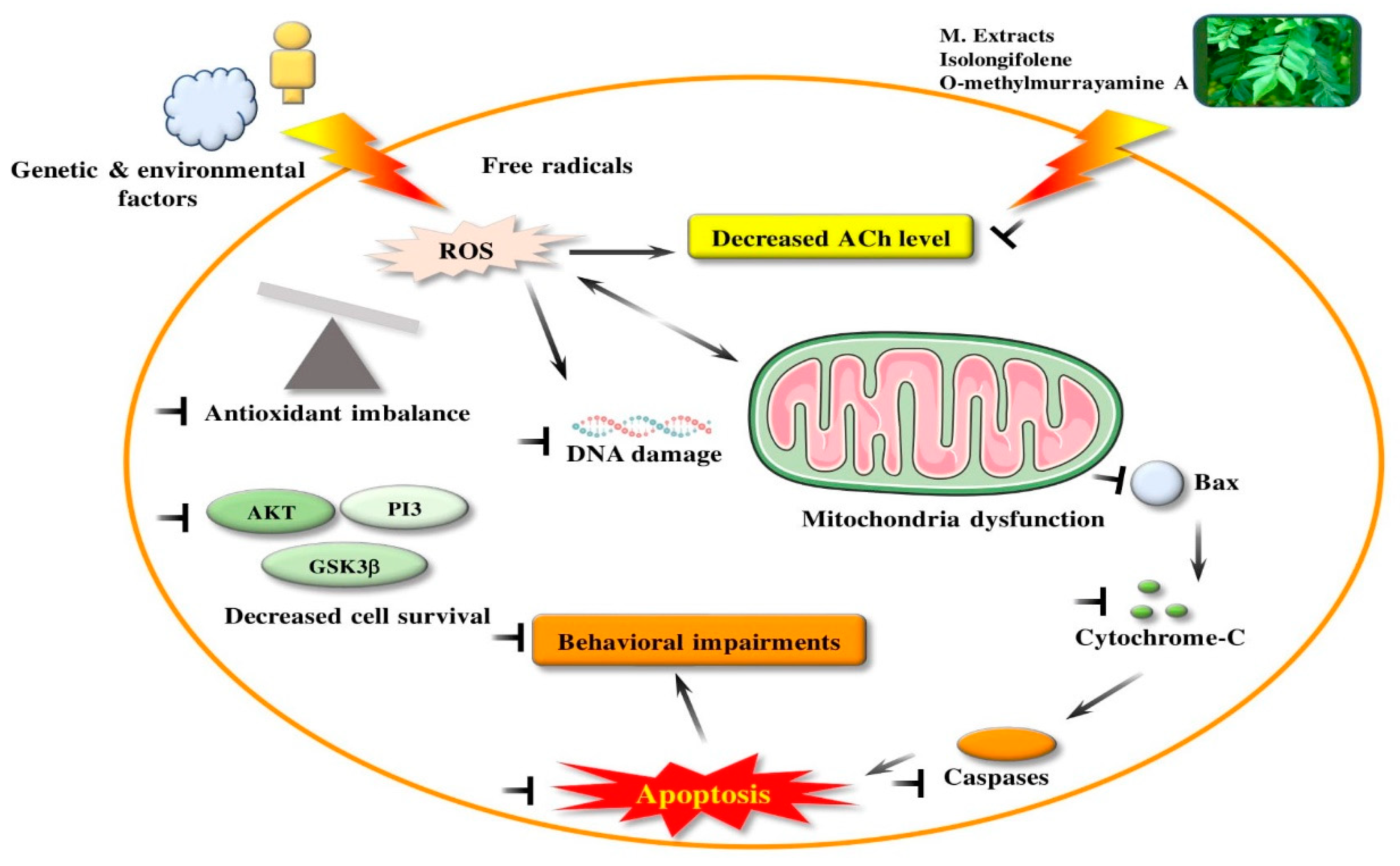 Antioxidants 09 00101 g003