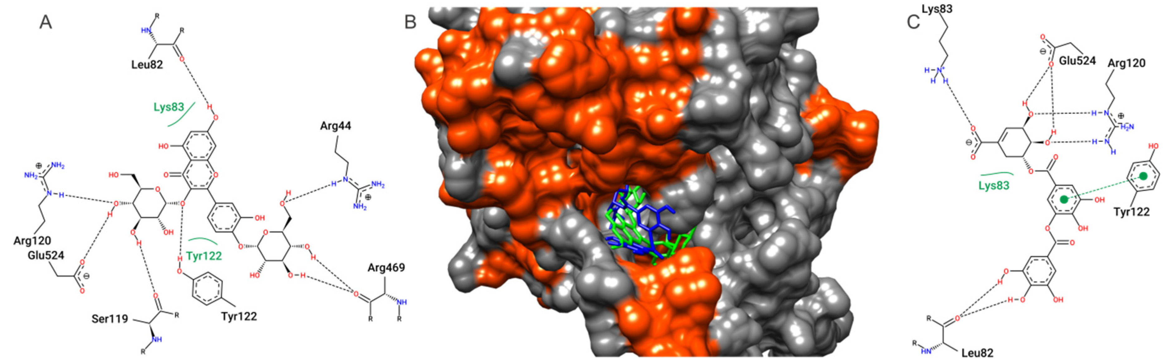 Antioxidants 09 00103 g008