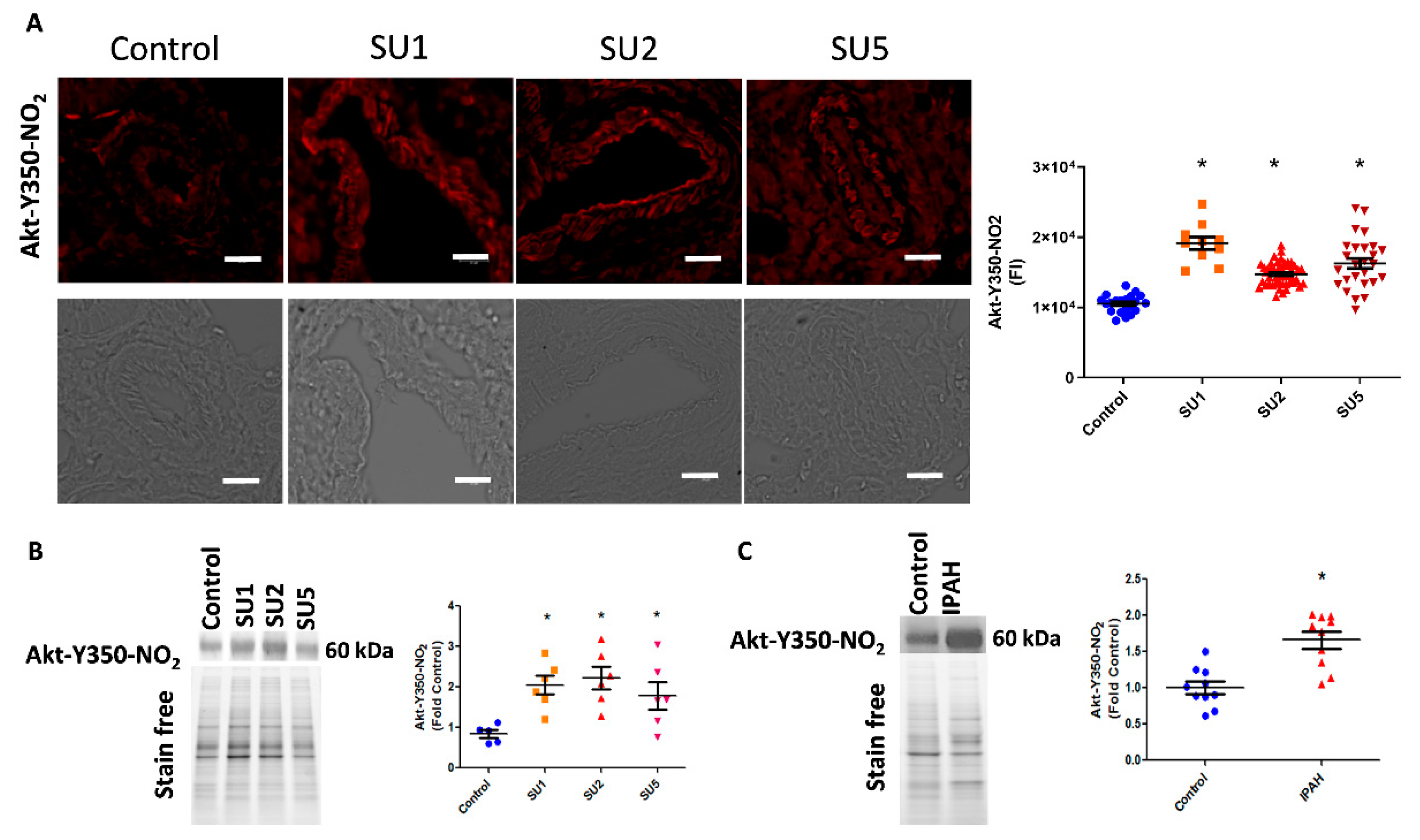 Antioxidants 09 00104 g002