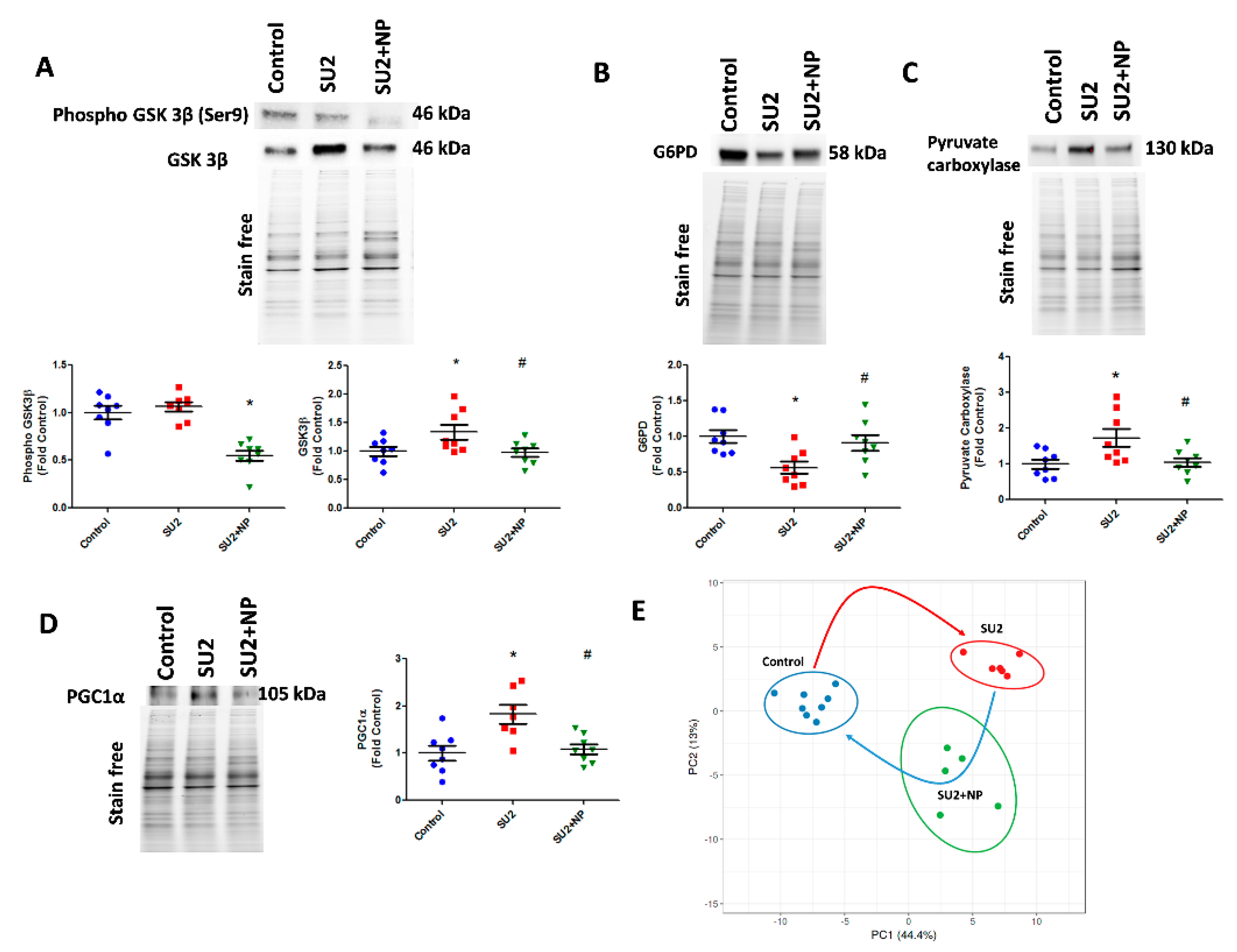 Antioxidants 09 00104 g006