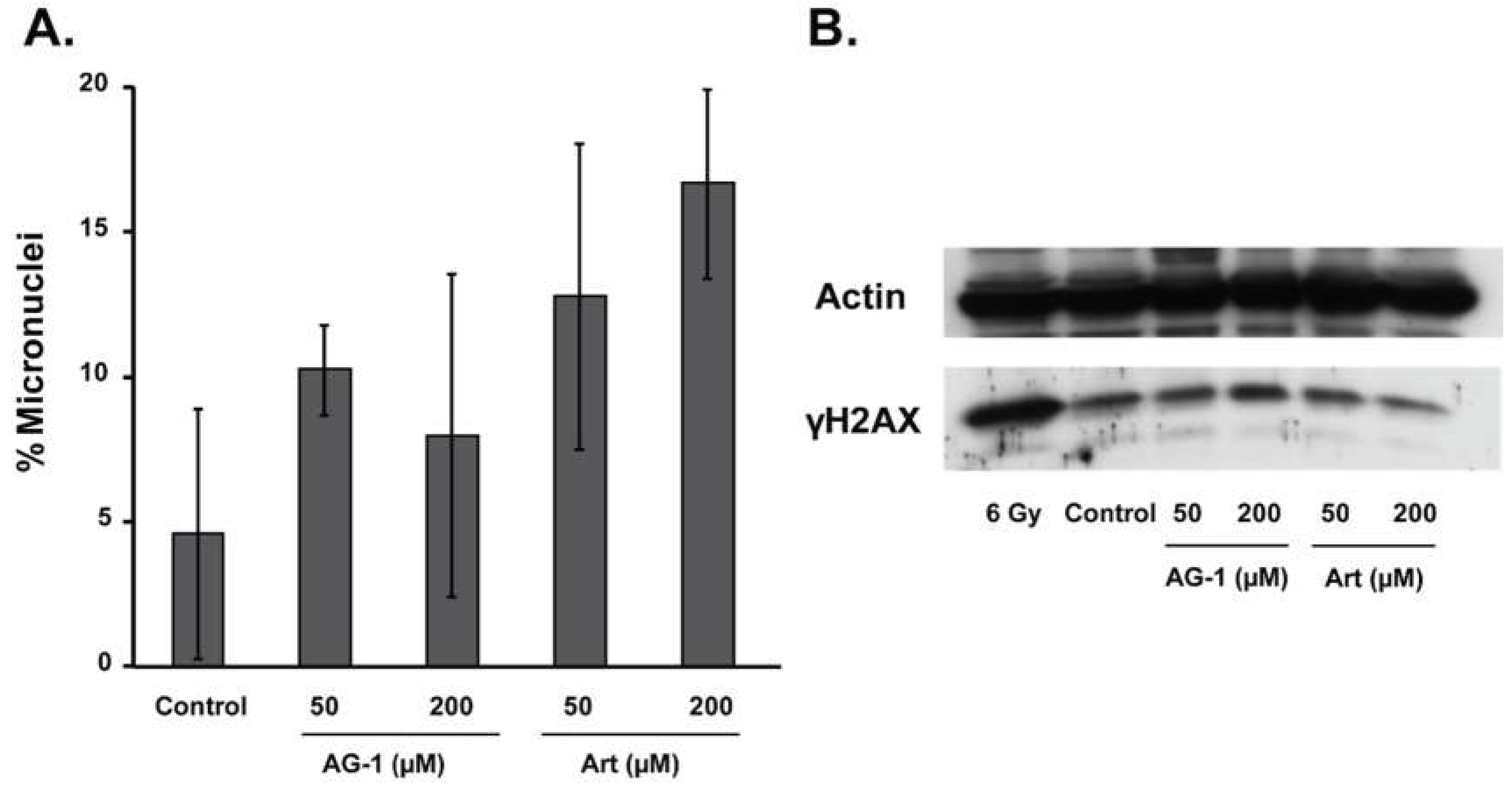 Antioxidants 09 00108 g006