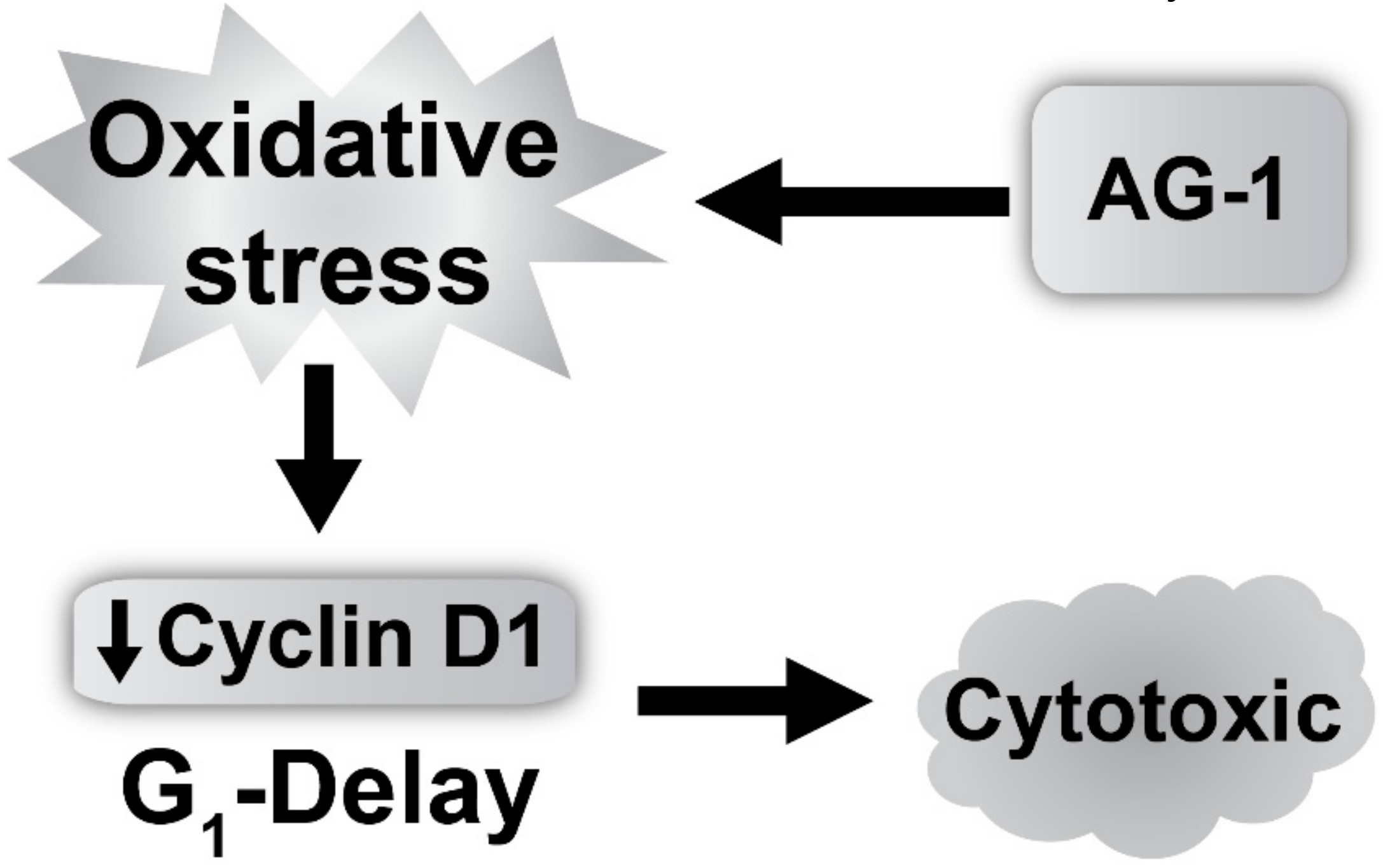 Antioxidants 09 00108 g011