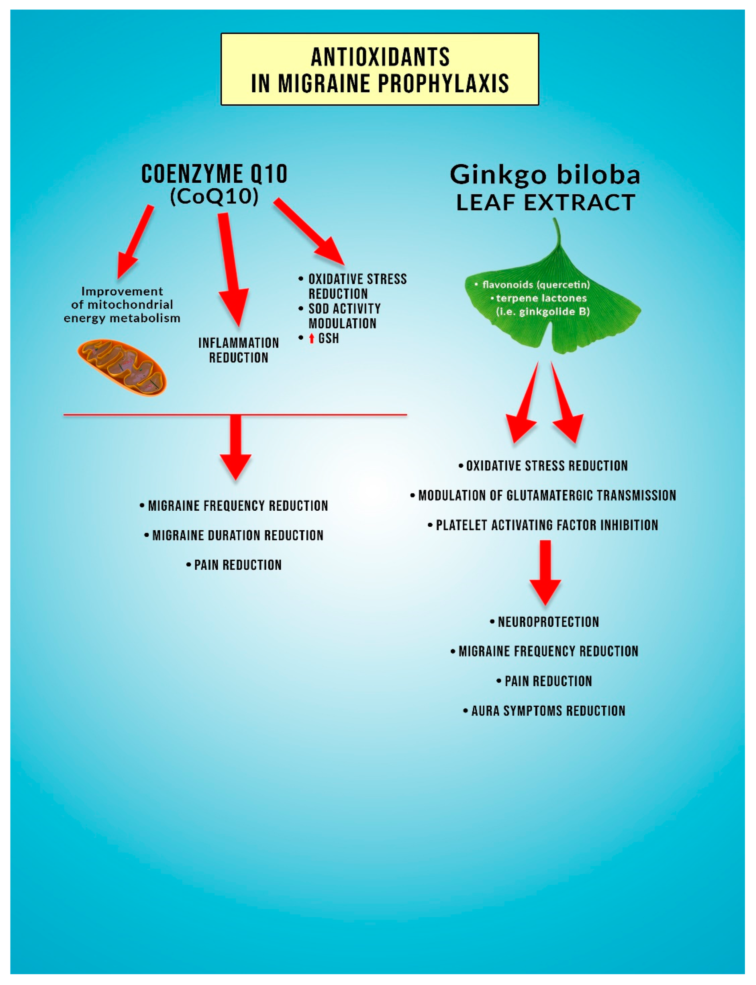 Antioxidants 09 00116 g002