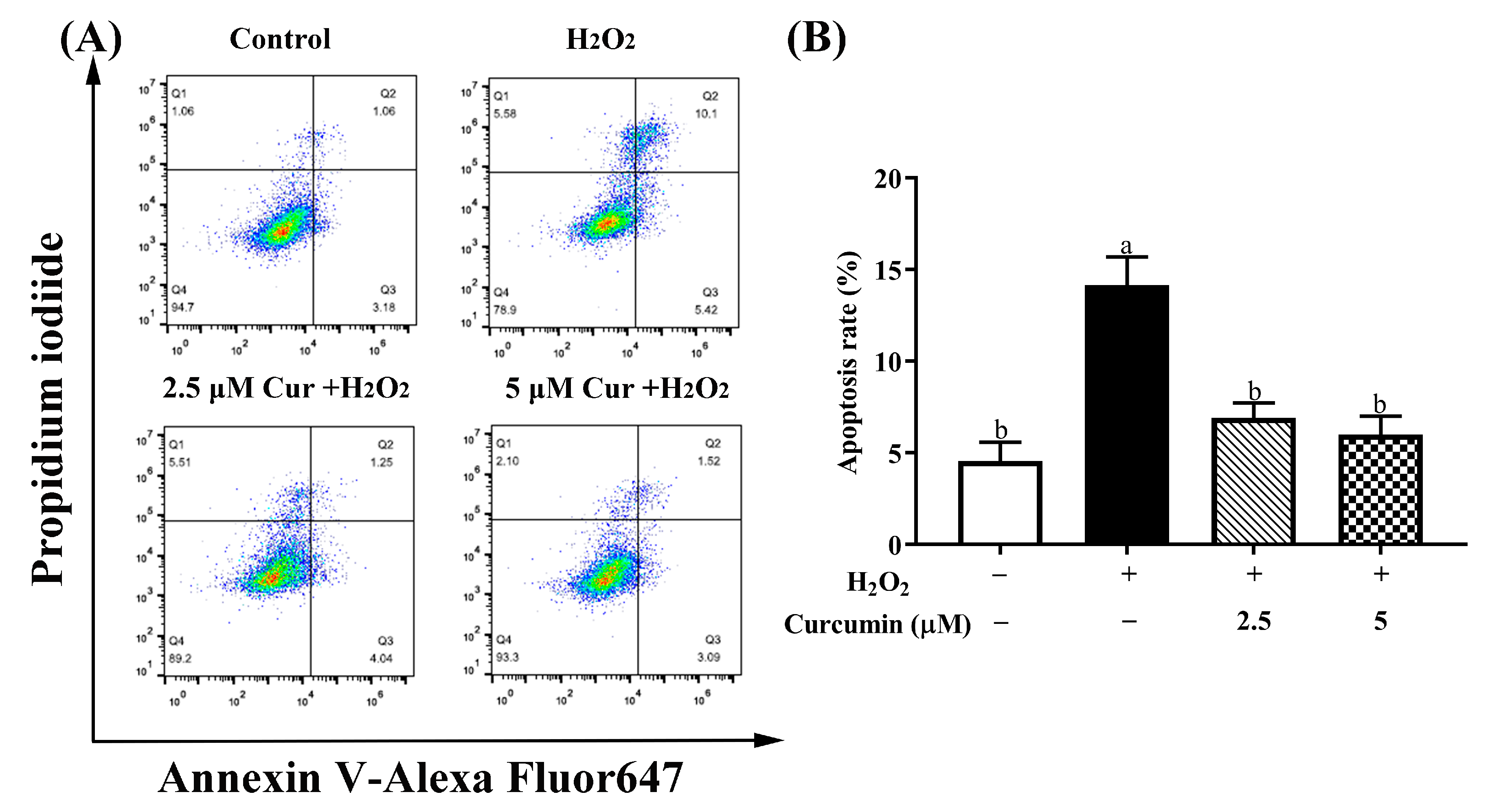 Antioxidants 09 00121 g003