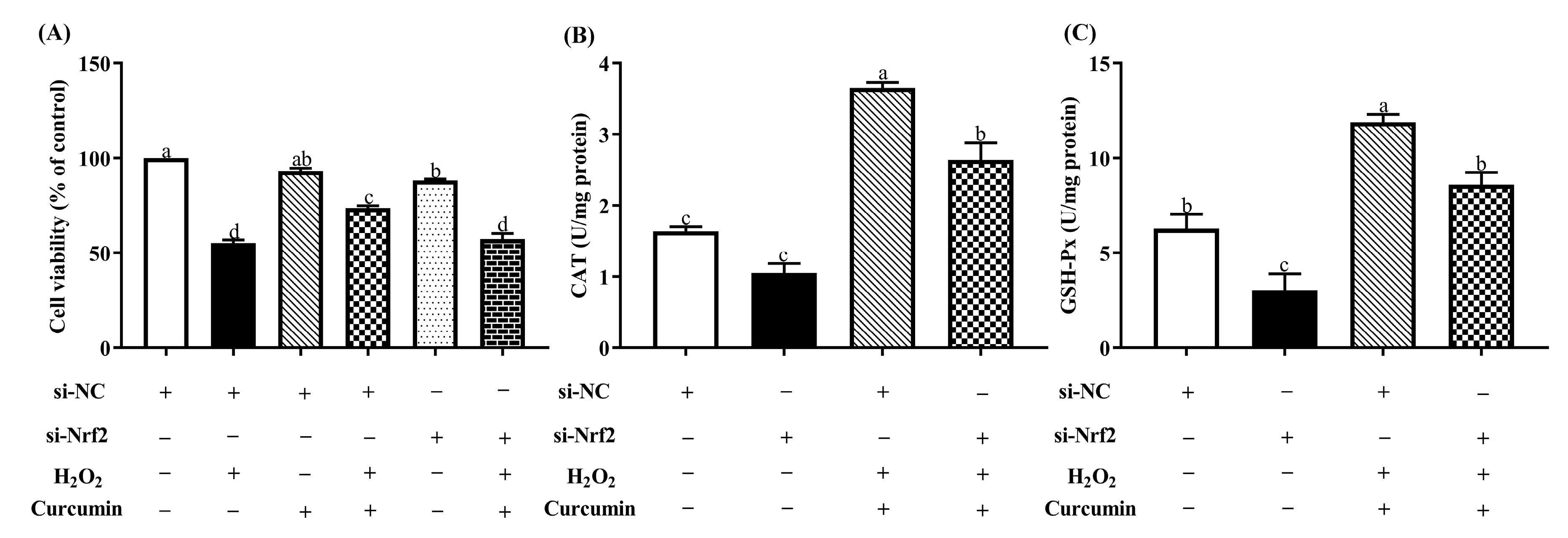Antioxidants 09 00121 g008