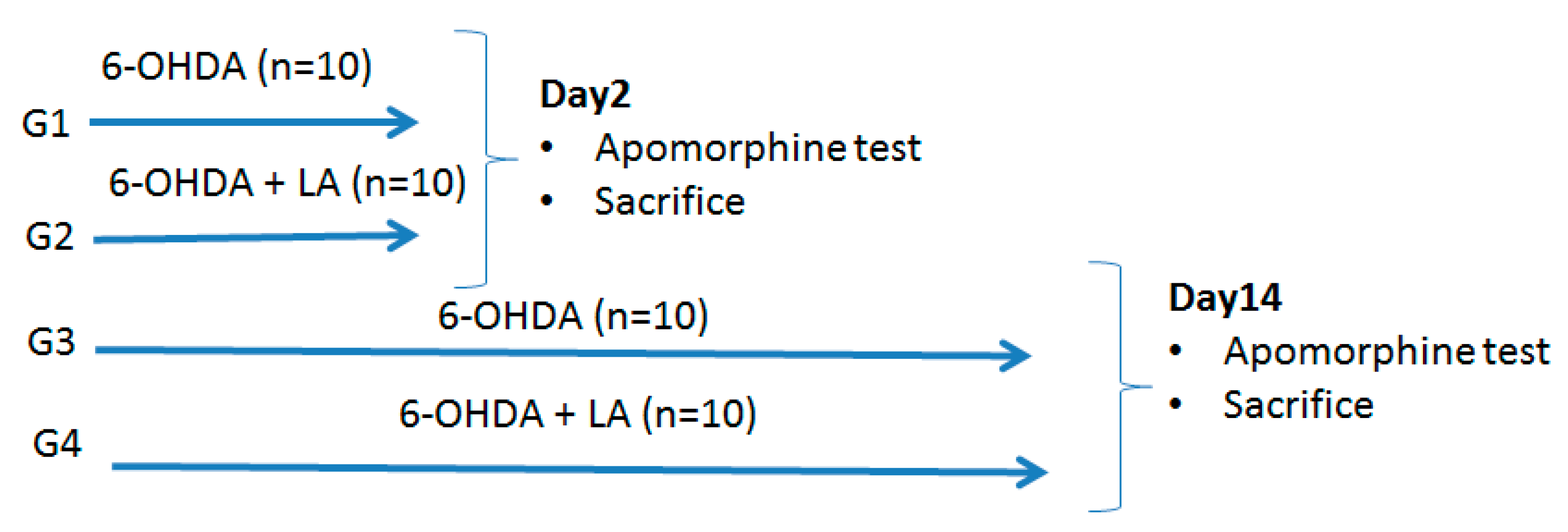 Antioxidants 09 00122 g001 Antioxidants 09 00122 g001