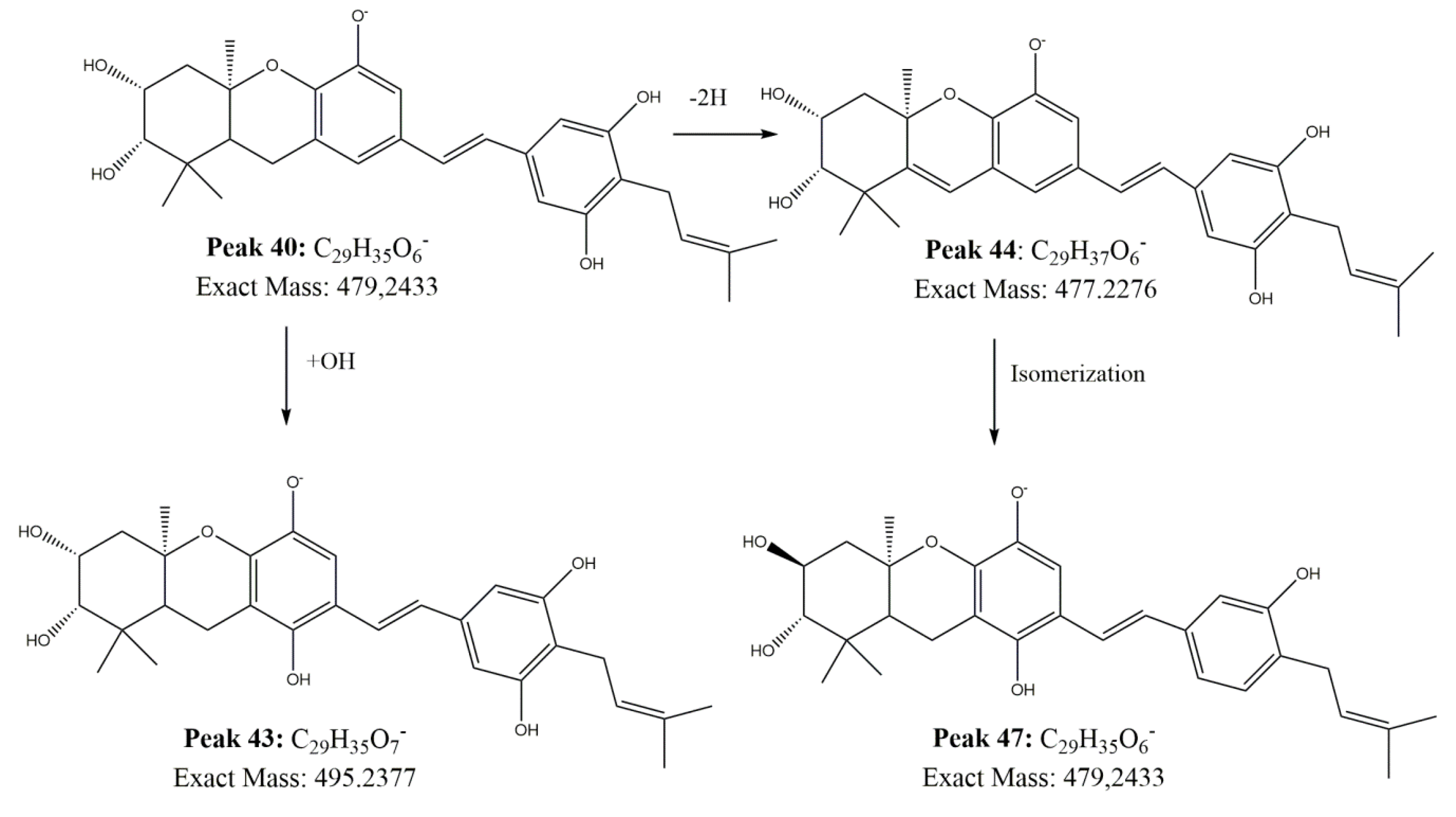 Antioxidants 09 00123 g002