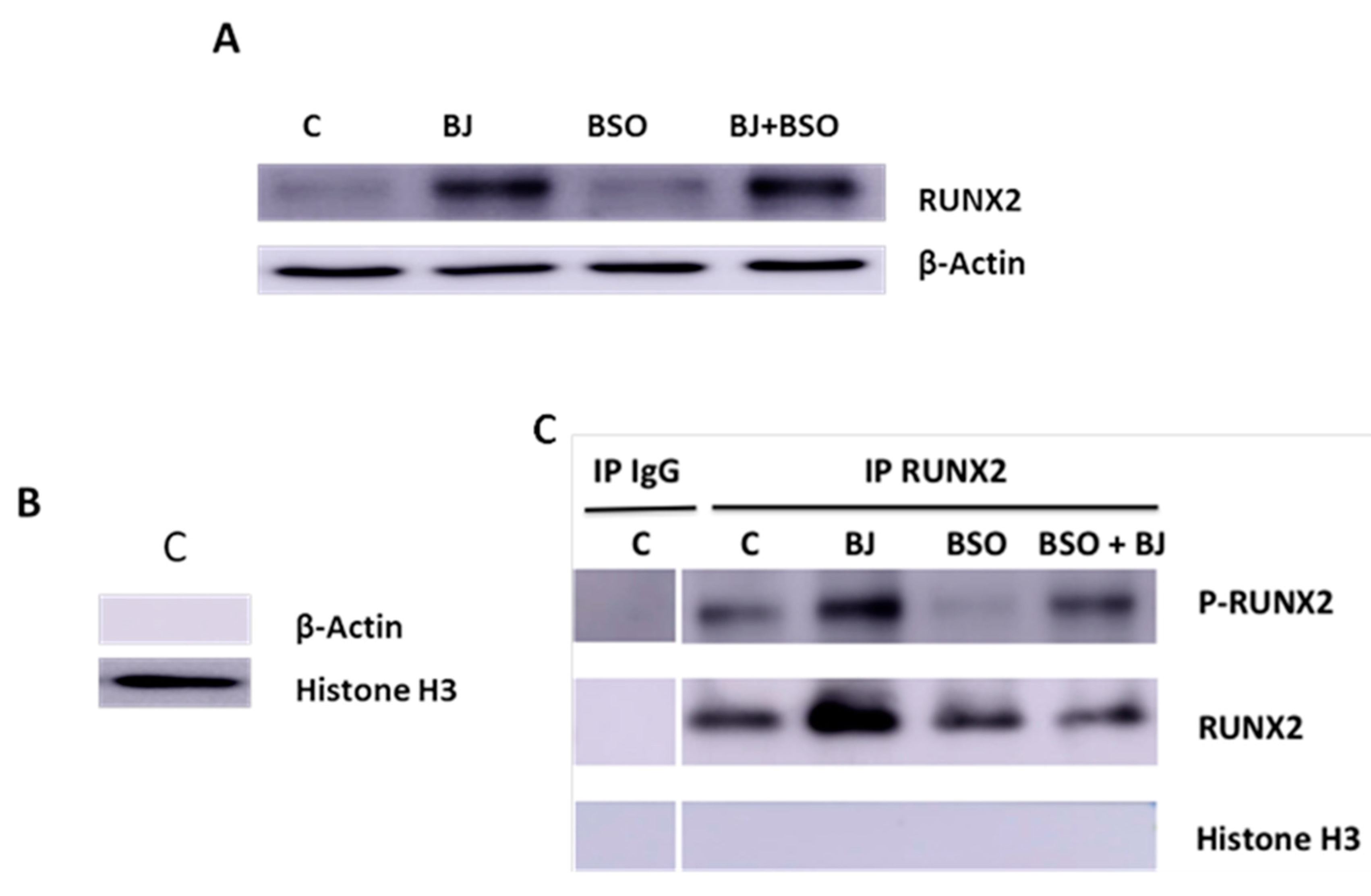 Antioxidants 09 00125 g003