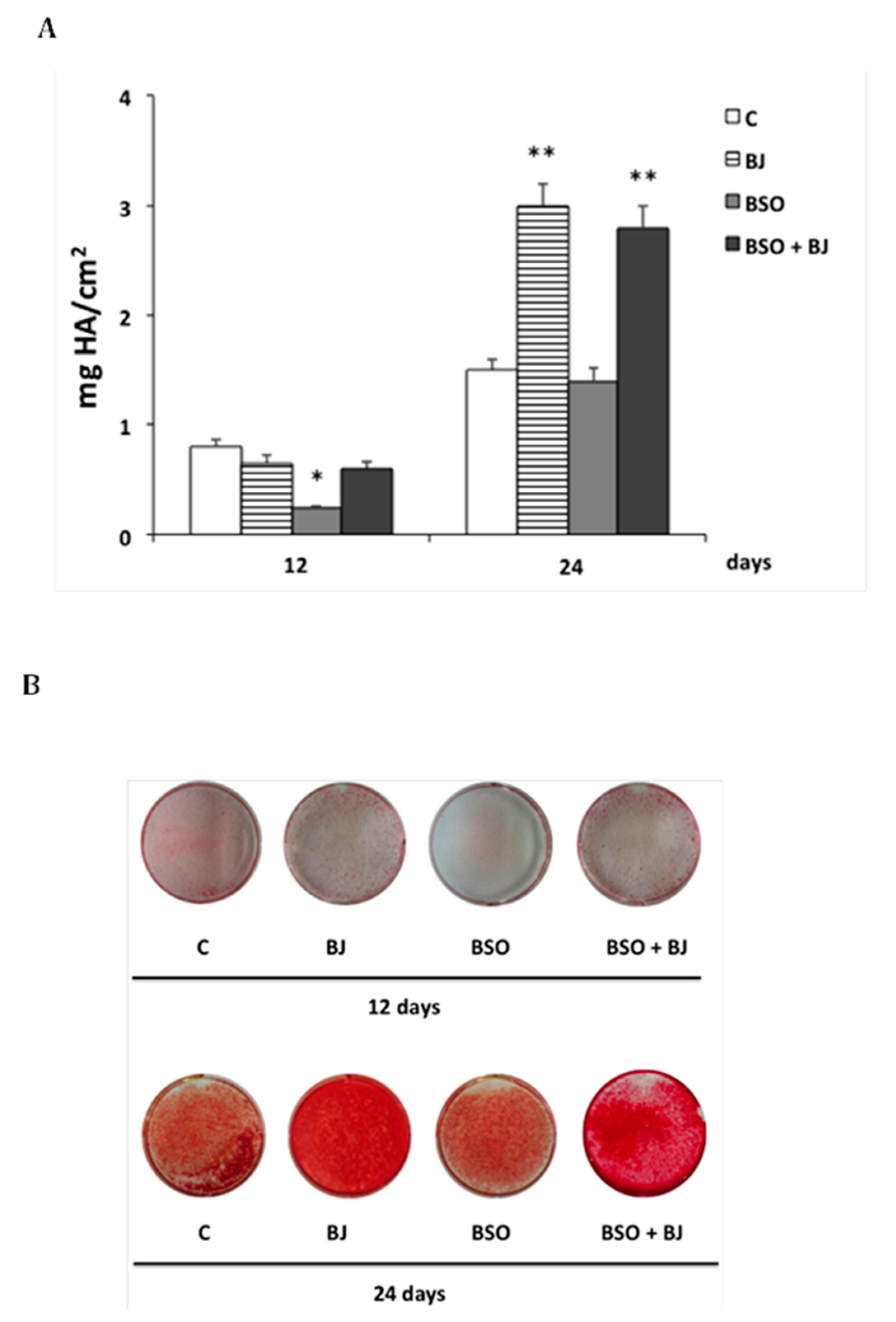 Antioxidants 09 00125 g004