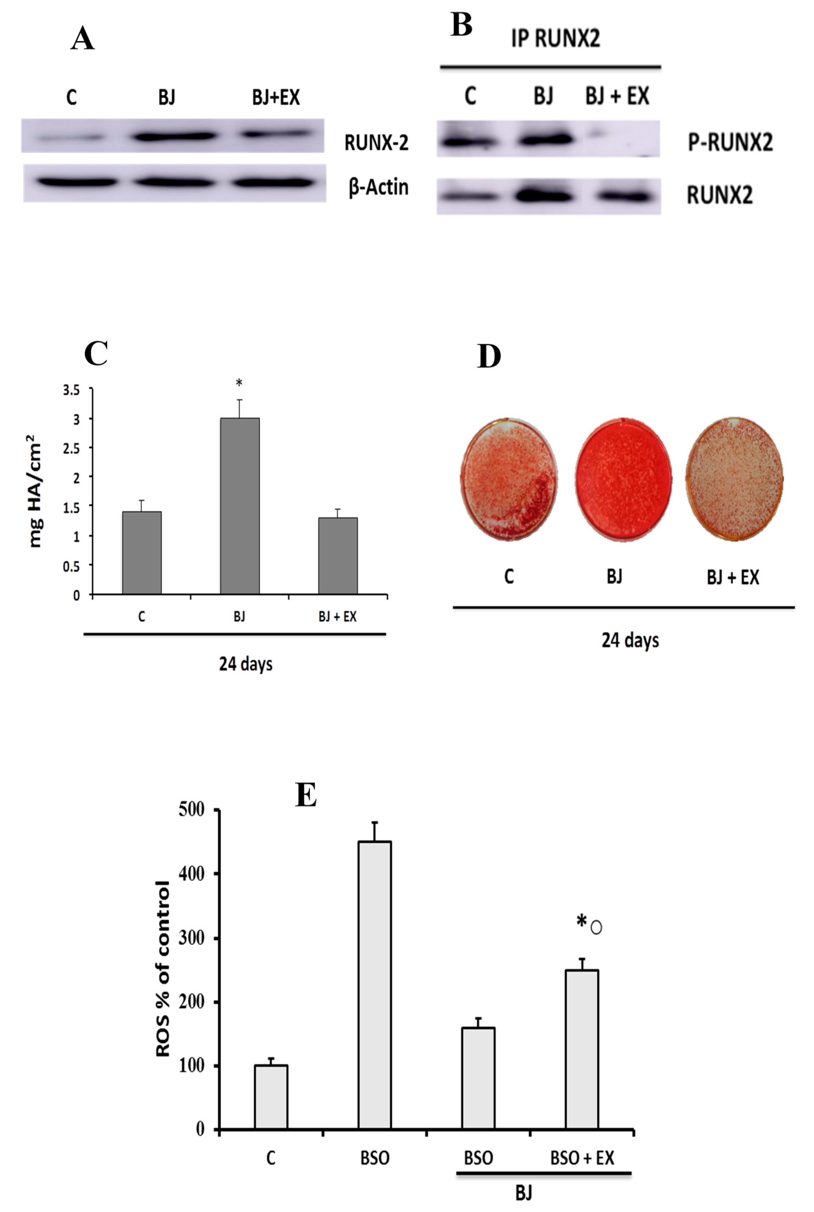 Antioxidants 09 00125 g006