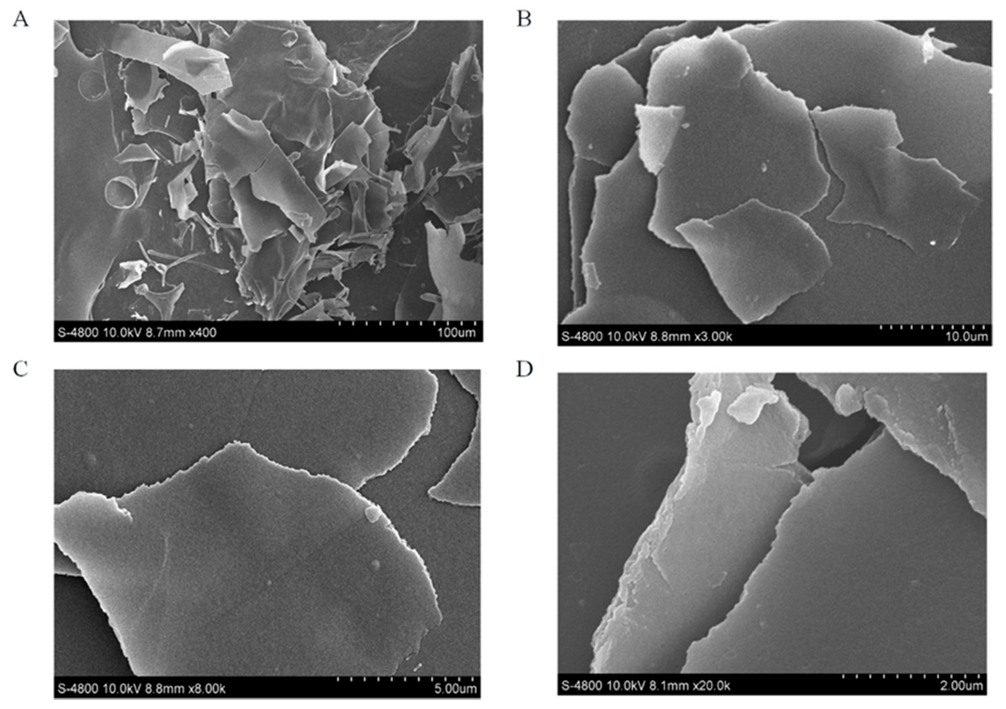 Antioxidants 09 00127 g004