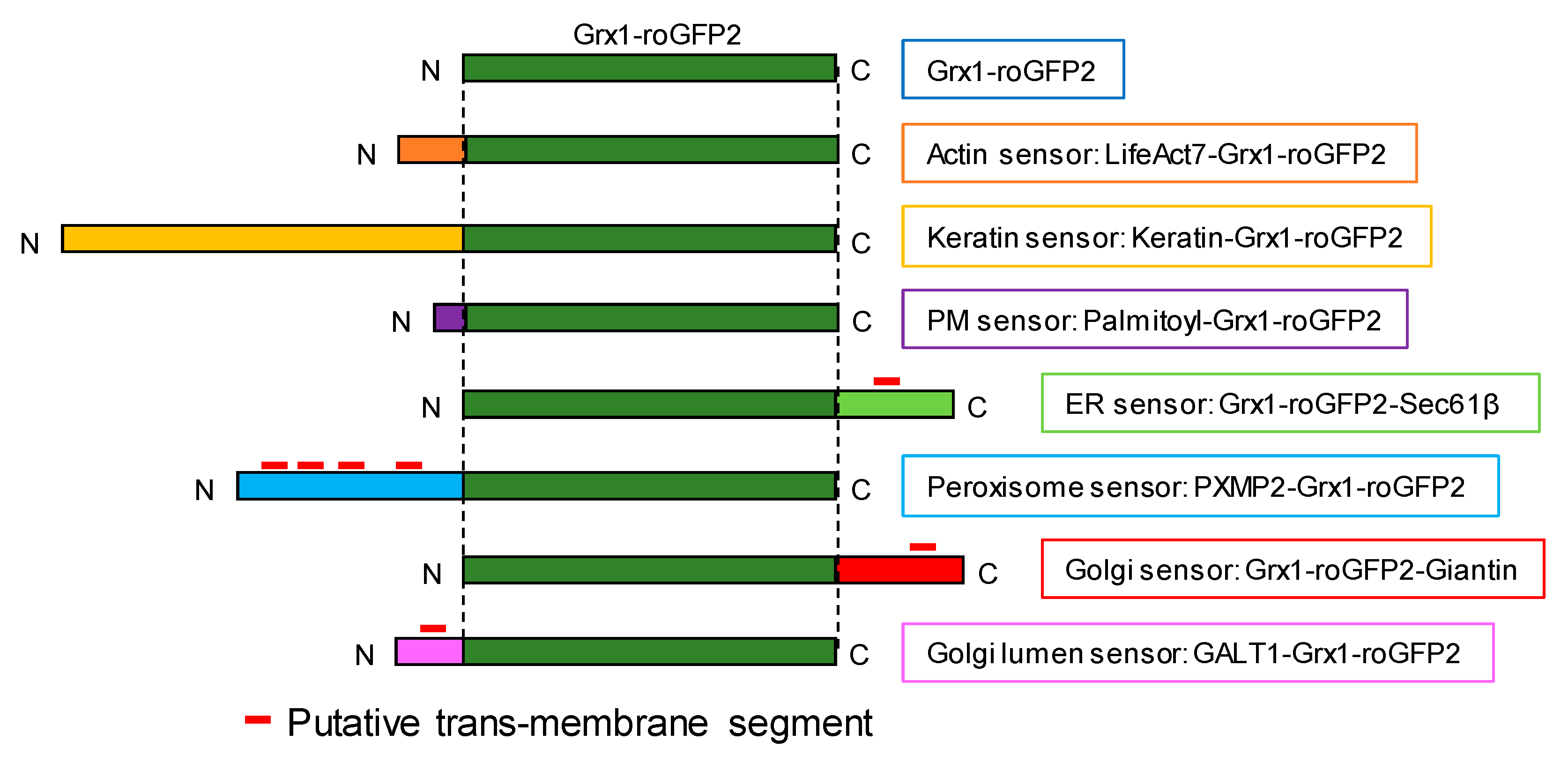 Antioxidants 09 00129 g001