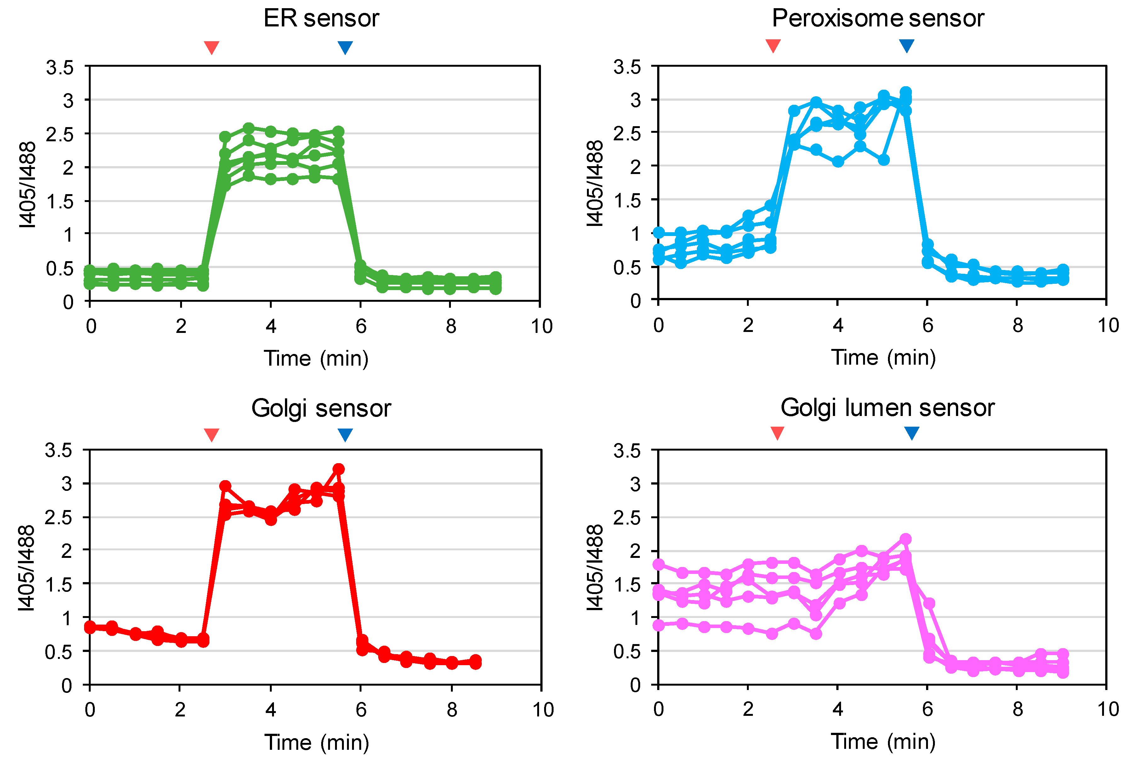 Antioxidants 09 00129 g005b
