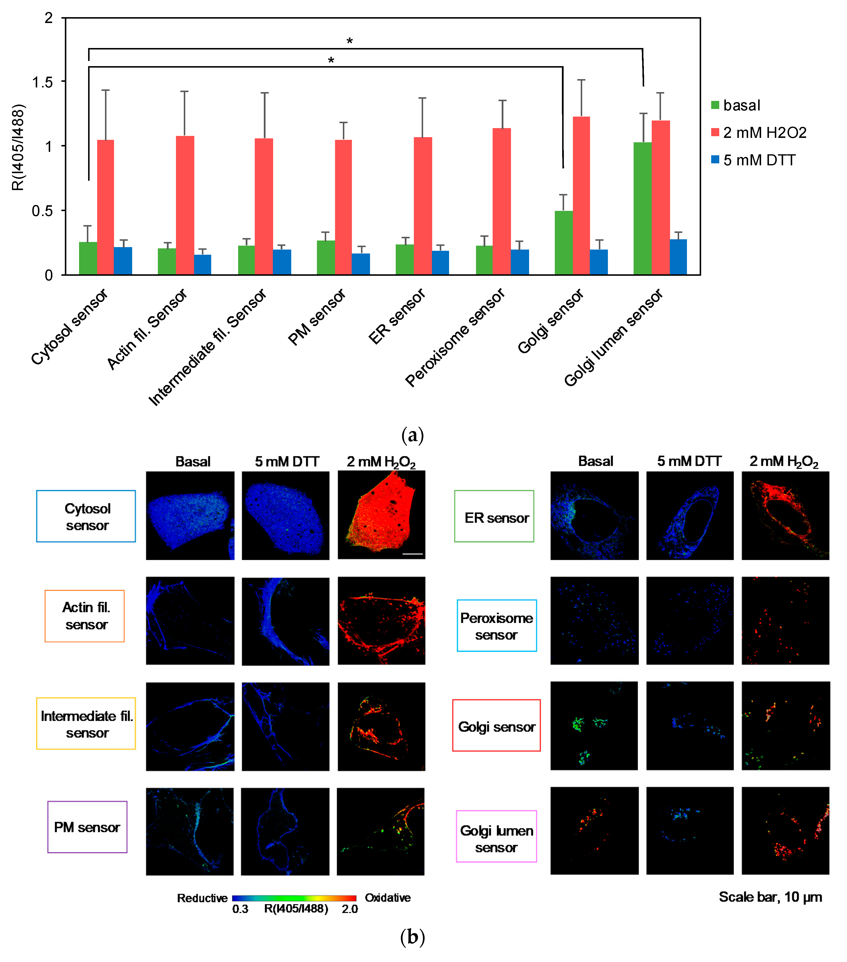 Antioxidants 09 00129 g006