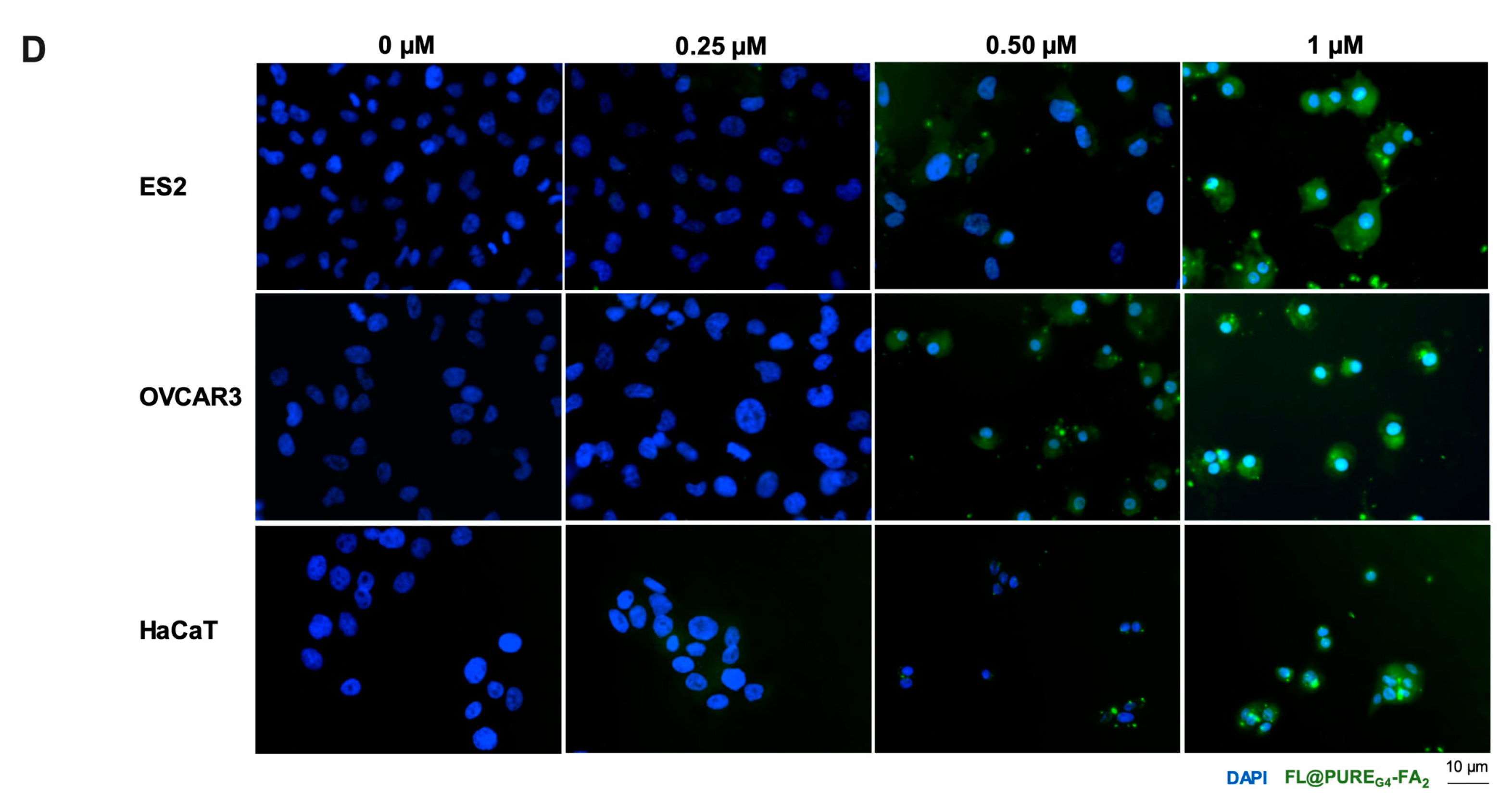 Antioxidants 09 00133 g001b