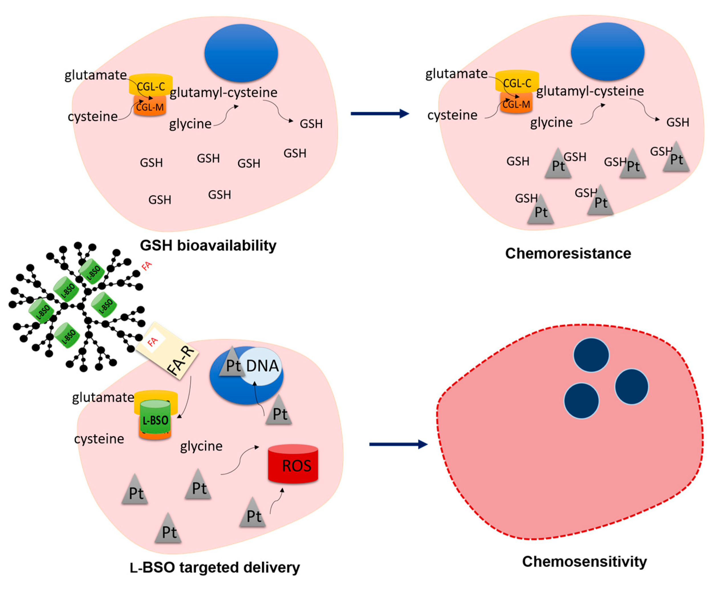 Antioxidants 09 00133 g006