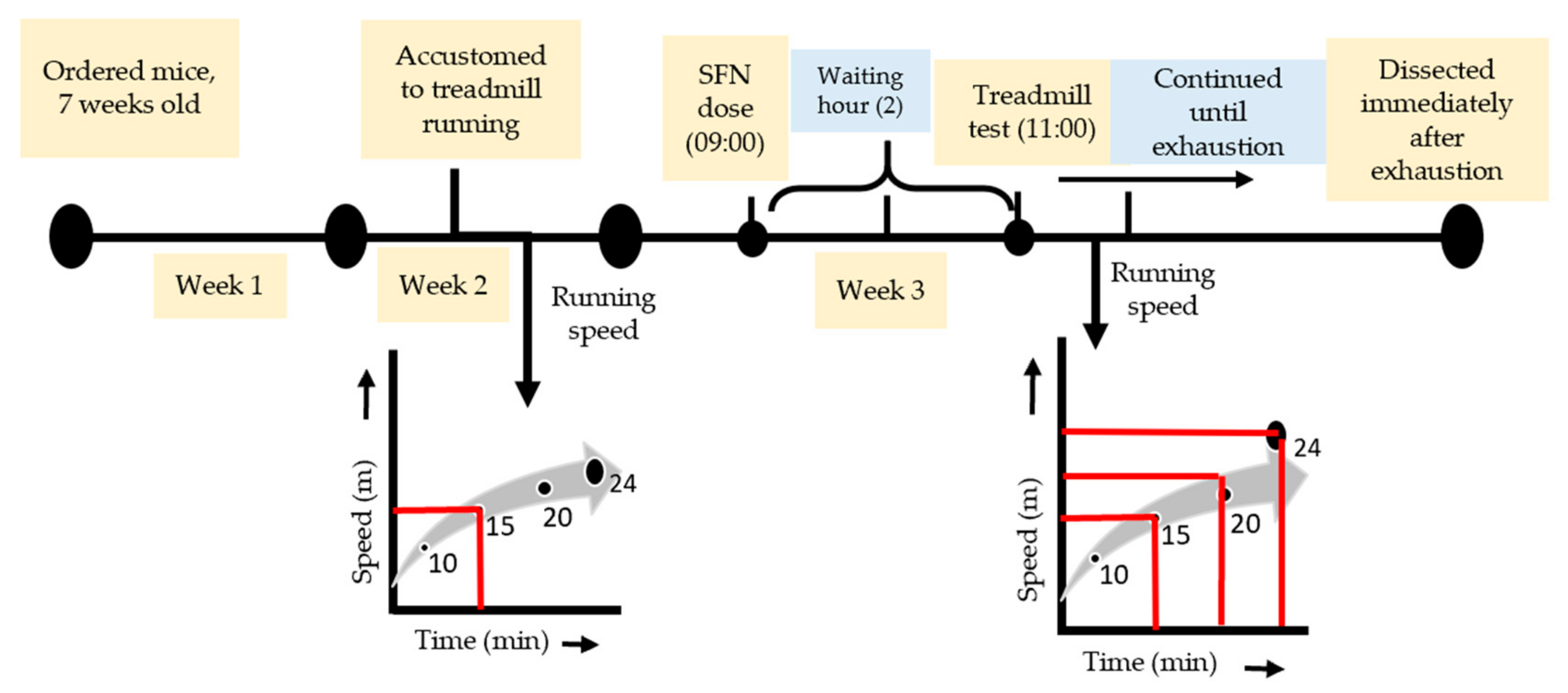Antioxidants 09 00136 g001