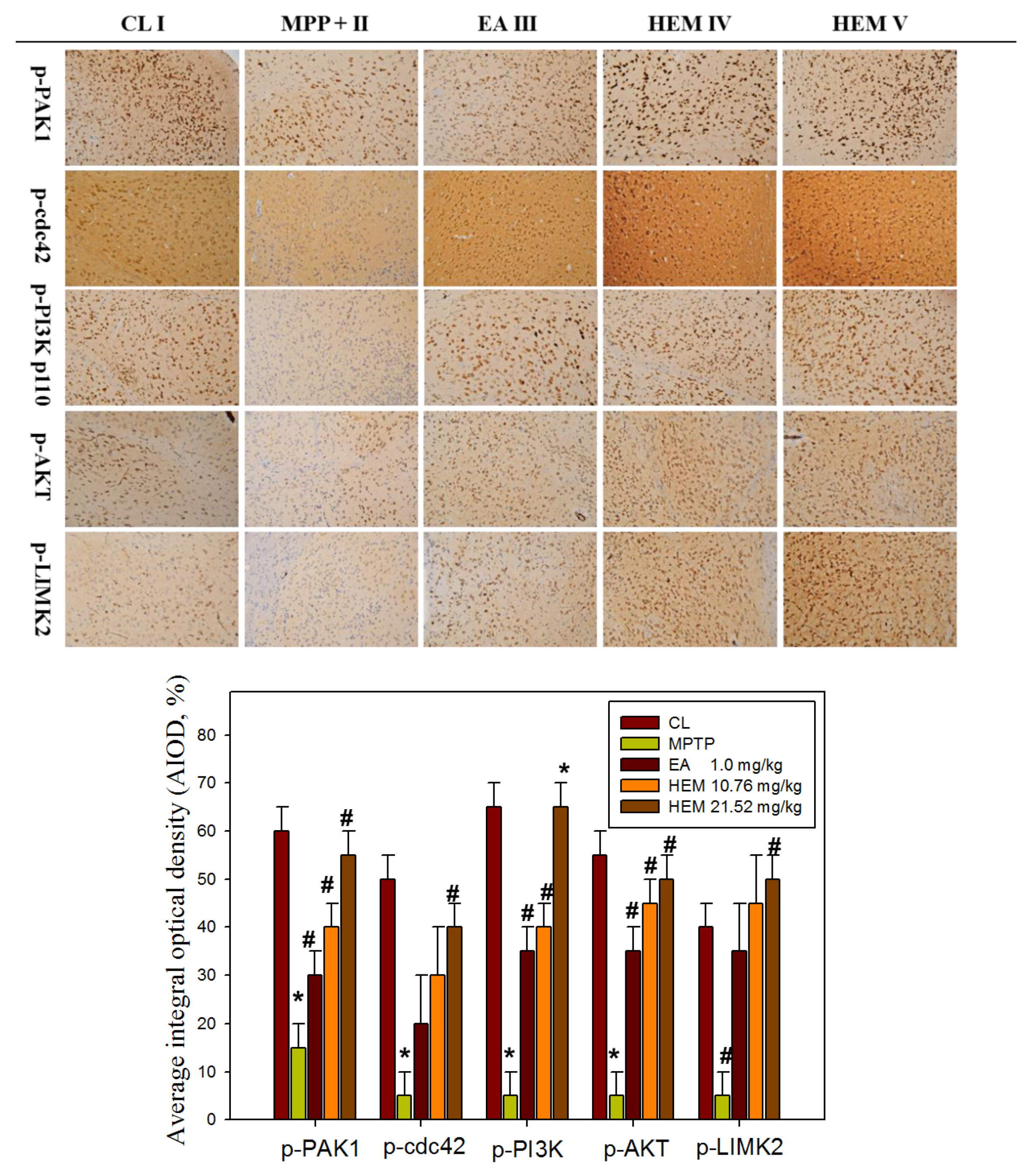 Antioxidants 09 00137 g007