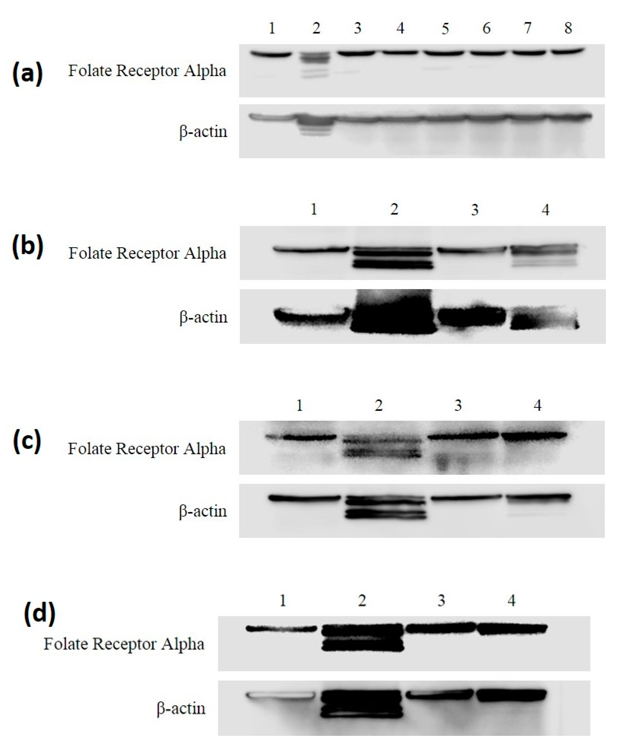 Antioxidants 09 00138 g004