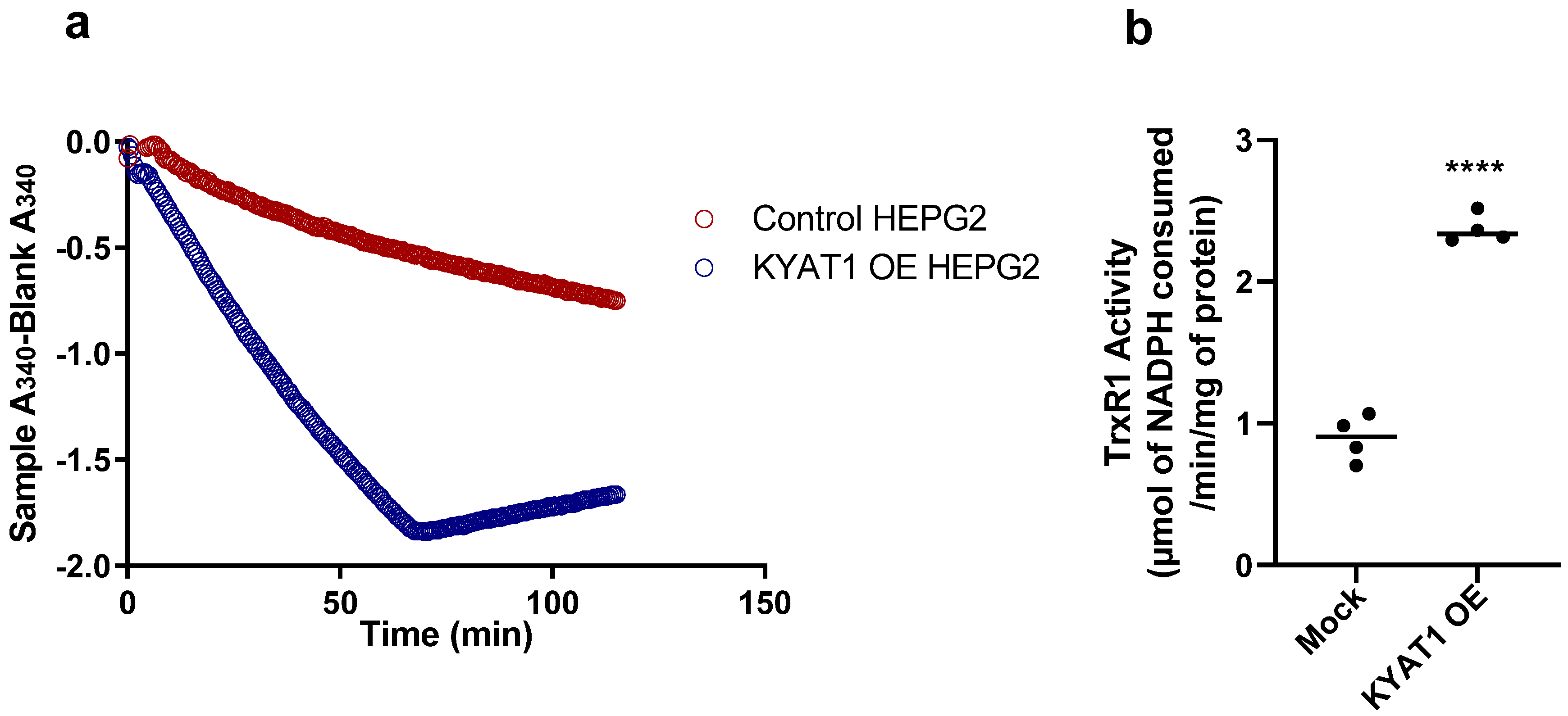 Antioxidants 09 00139 g005