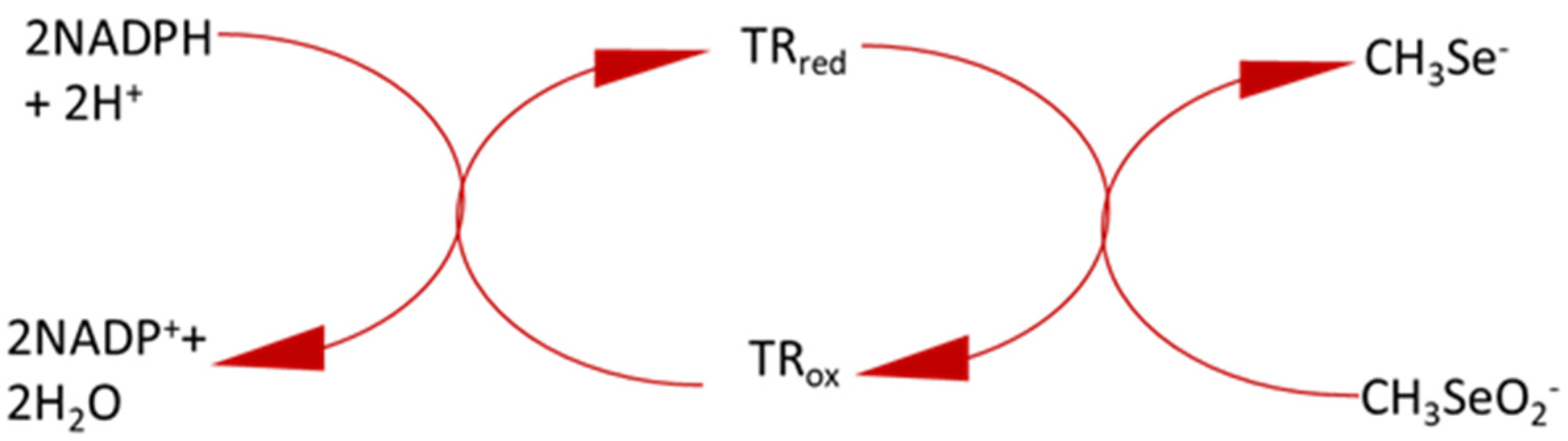 Antioxidants 09 00139 g006