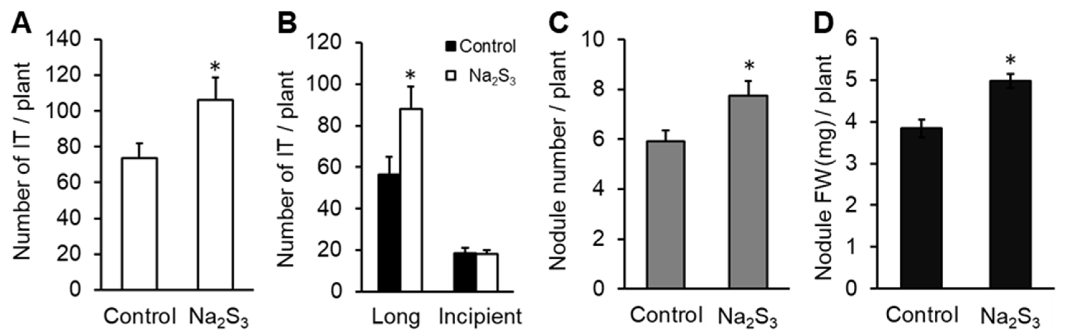 Antioxidants 09 00145 g005