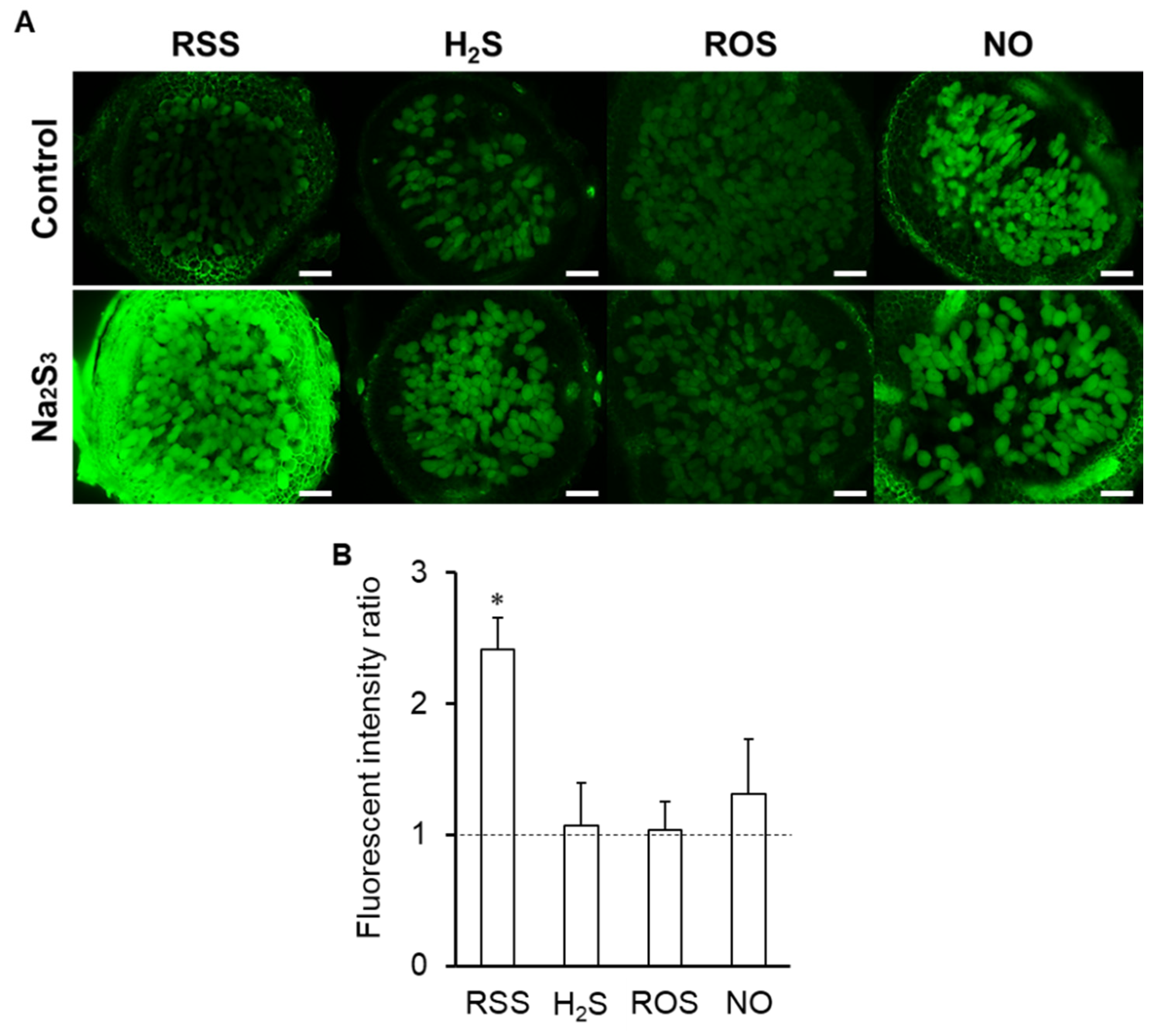 Antioxidants 09 00145 g007