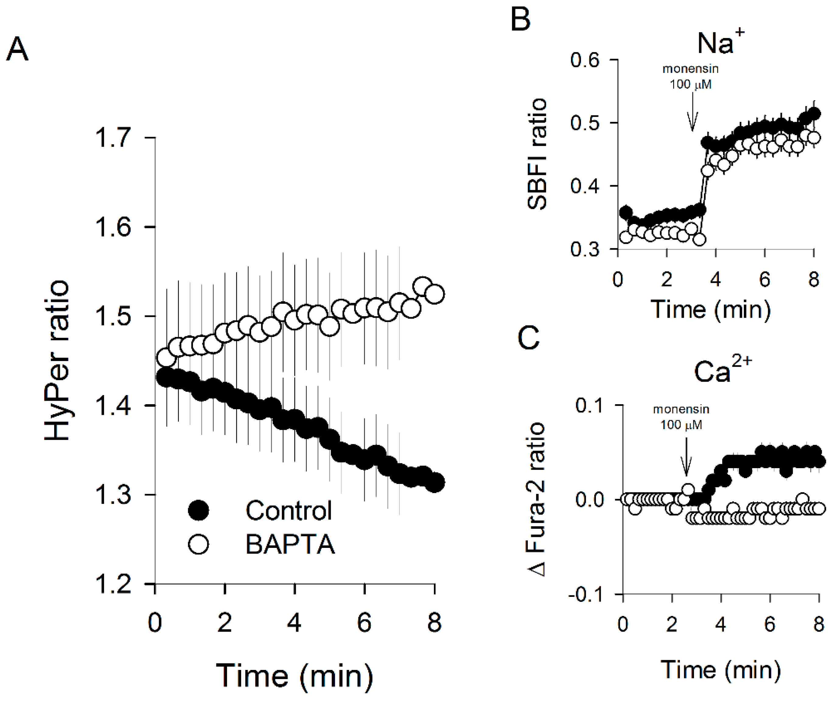 Antioxidants 09 00155 g005