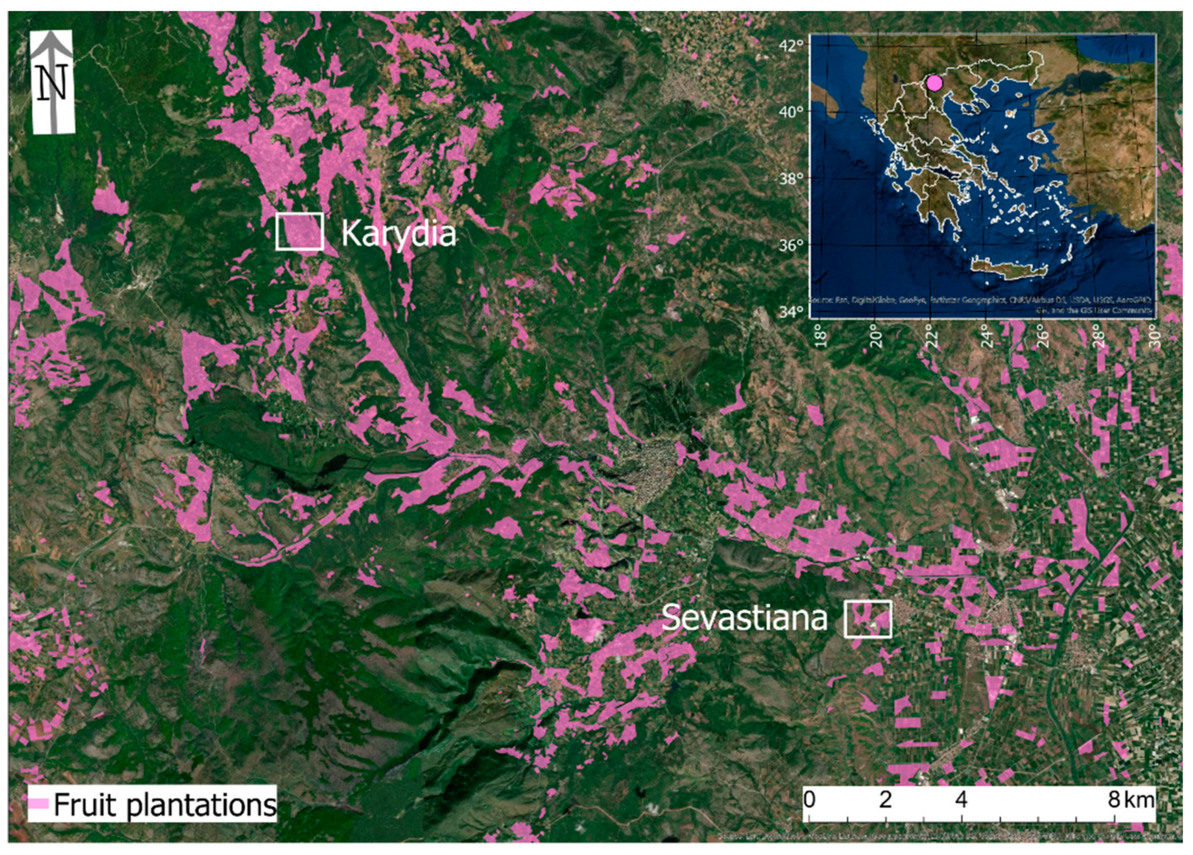 Antioxidants 09 00156 g001