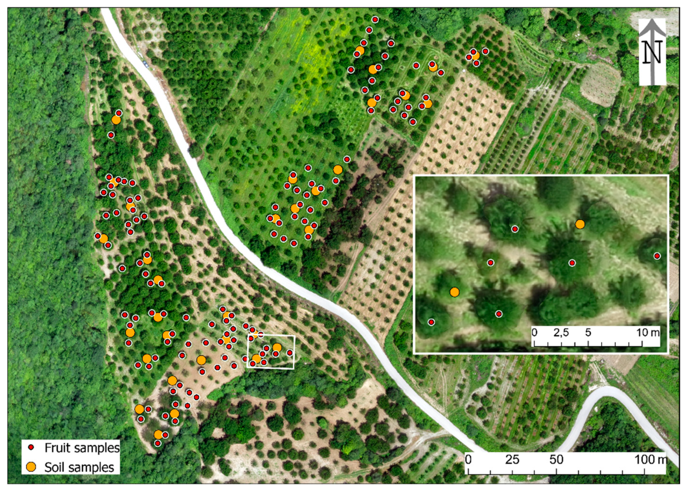 Antioxidants 09 00156 g003